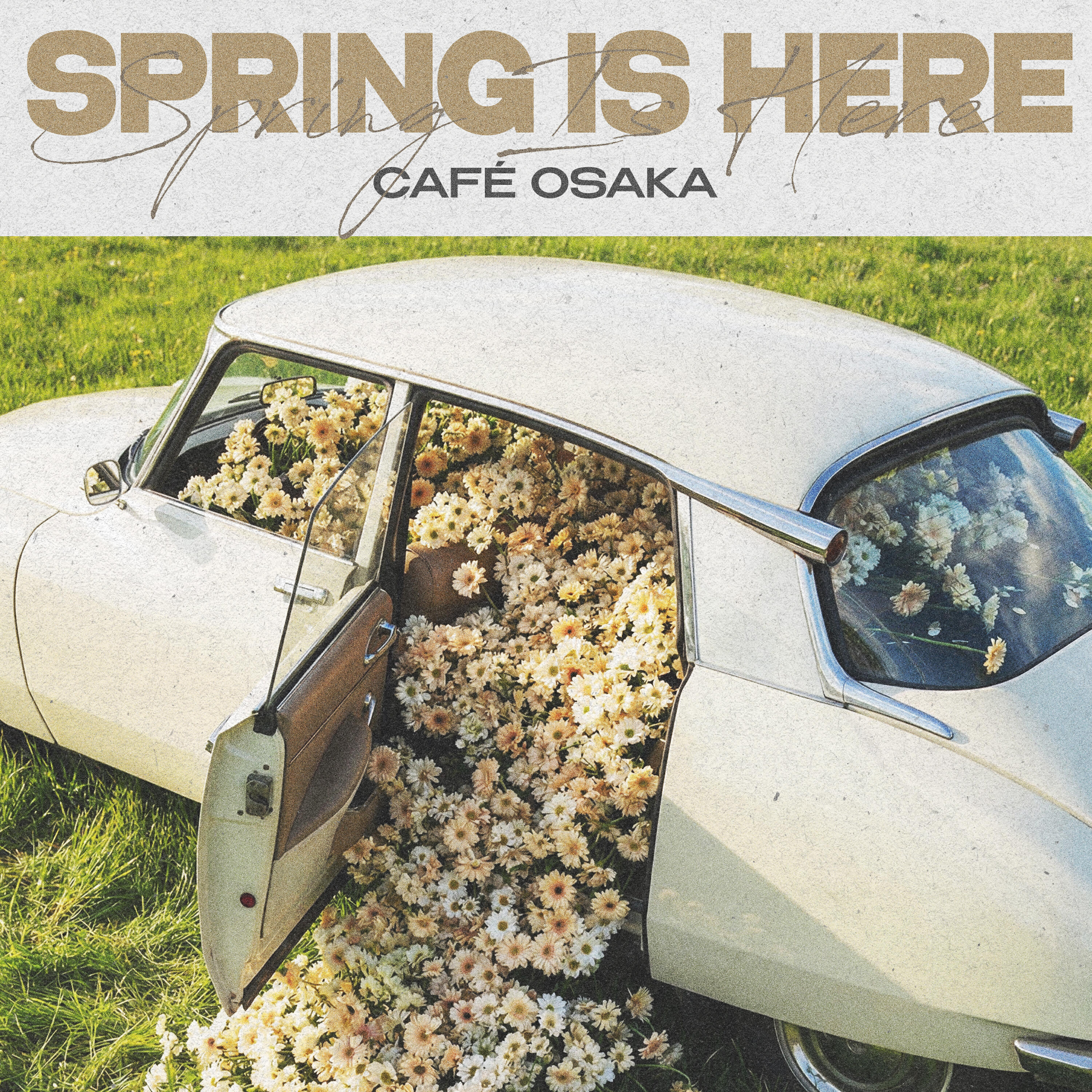 Релиз Spring Is Here
