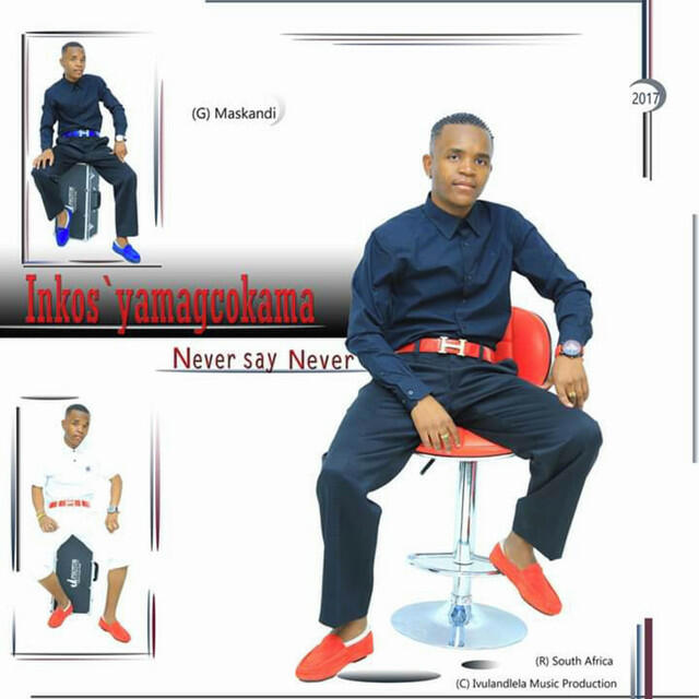 Релиз Never Say Never