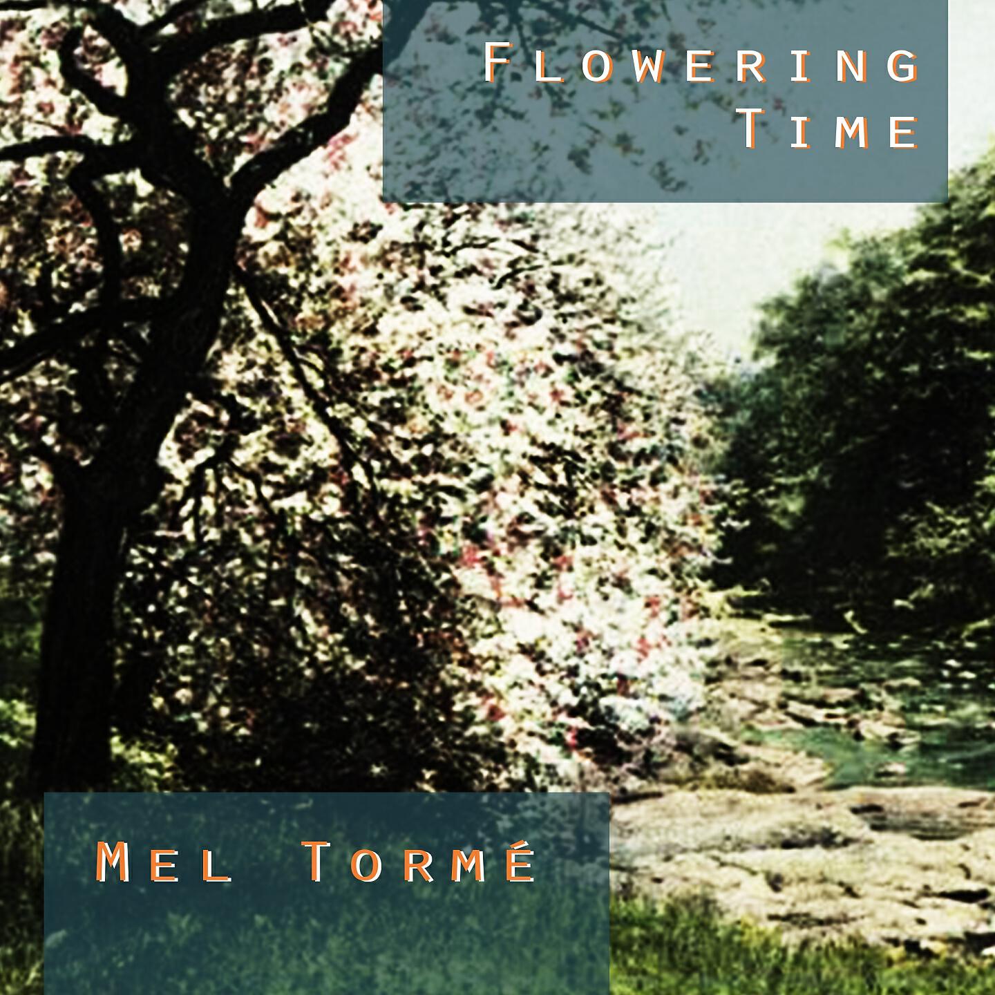 Релиз Flowering Time