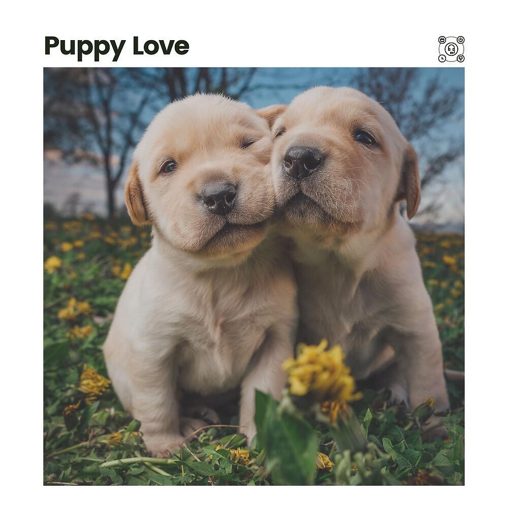 Релиз Puppy Love