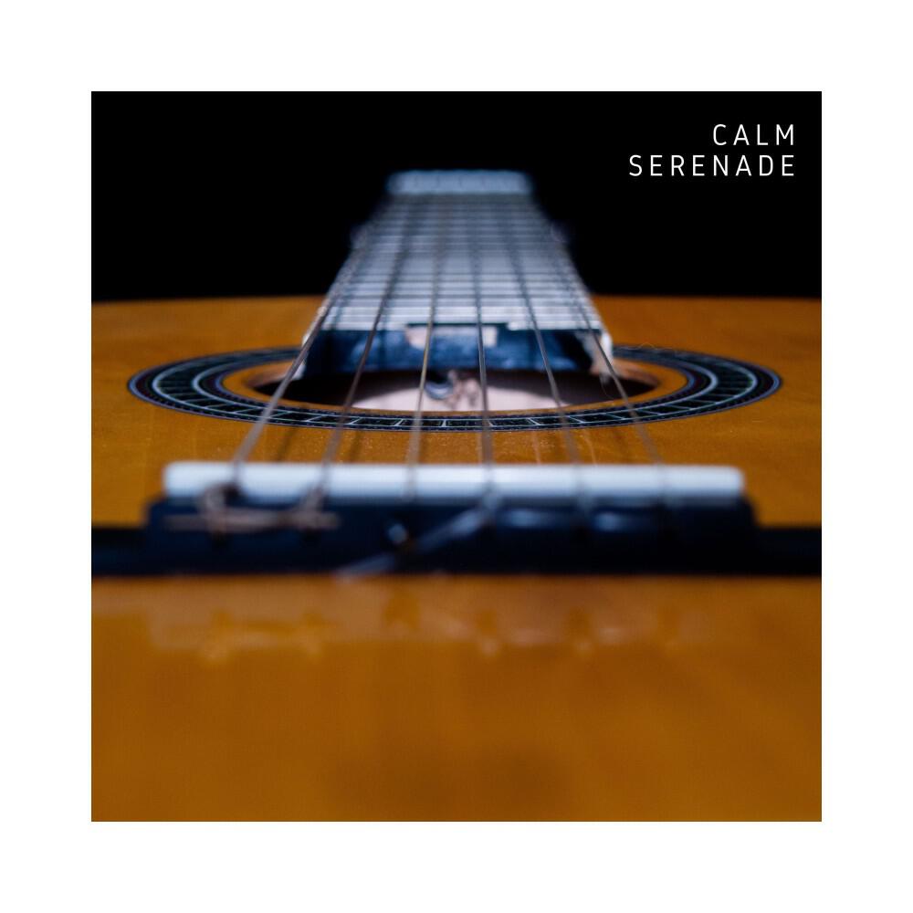 Релиз Calm Serenade: Chill Instrumental Guitar