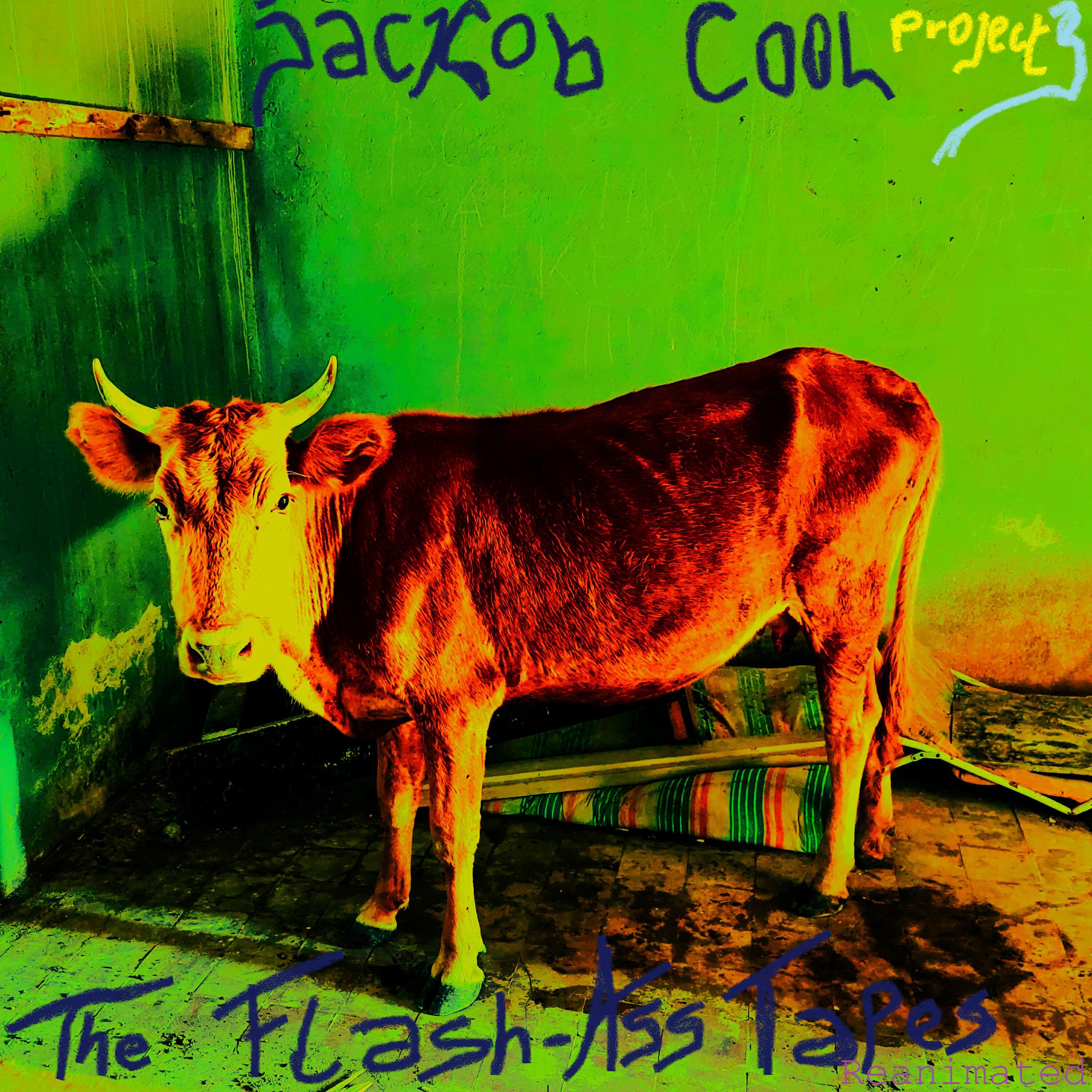 Jackob Cool Project 3