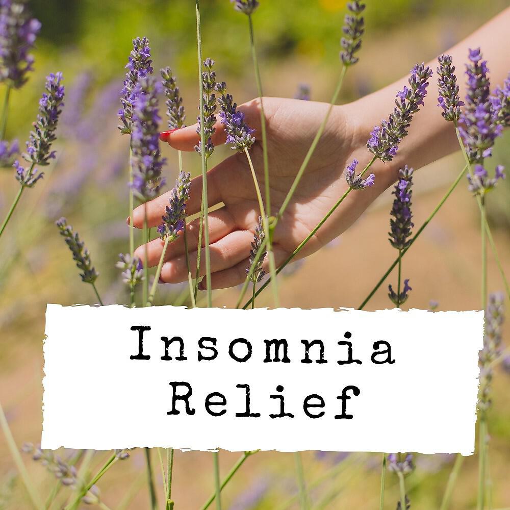 Релиз Insomnia Relief
