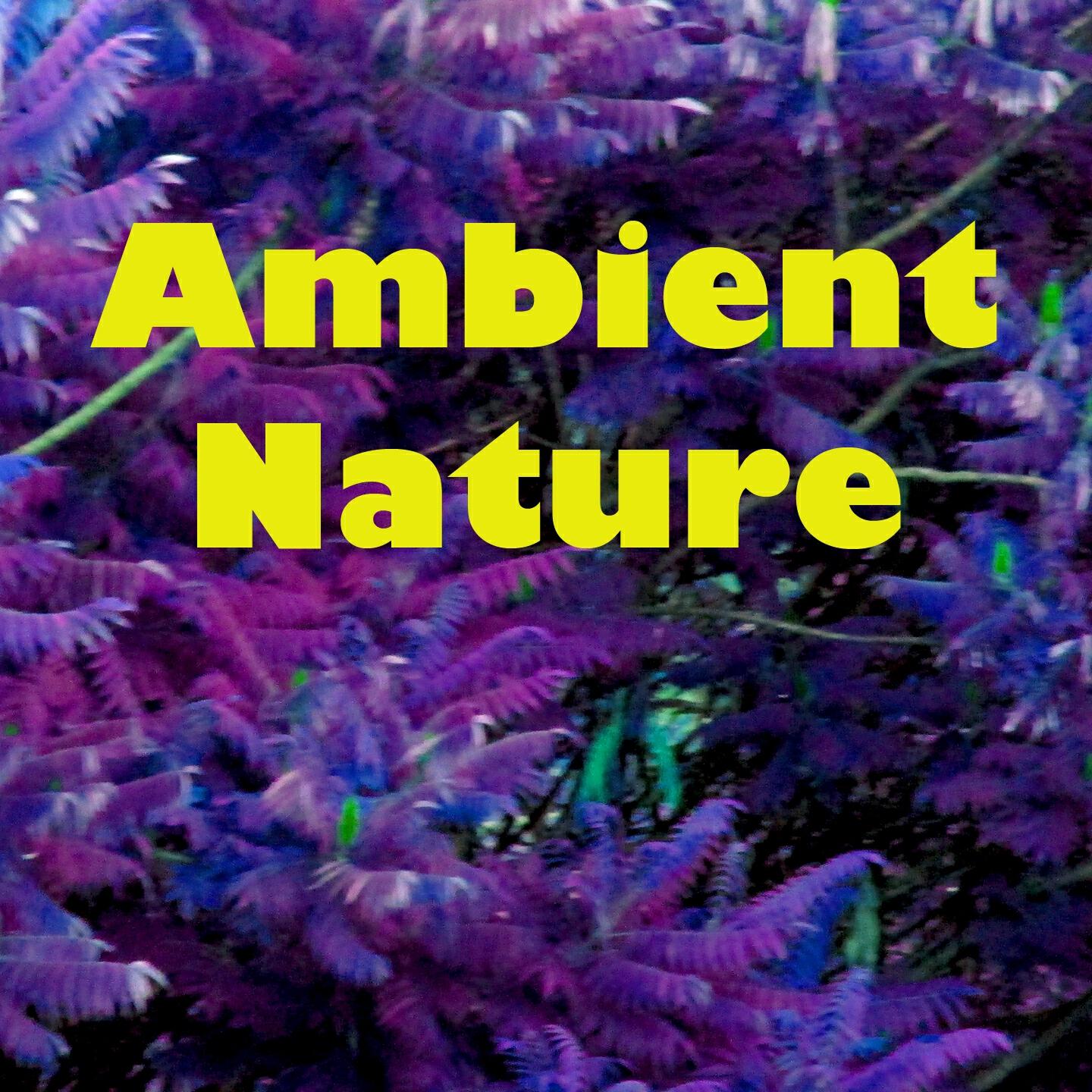 Релиз Ambient Nature