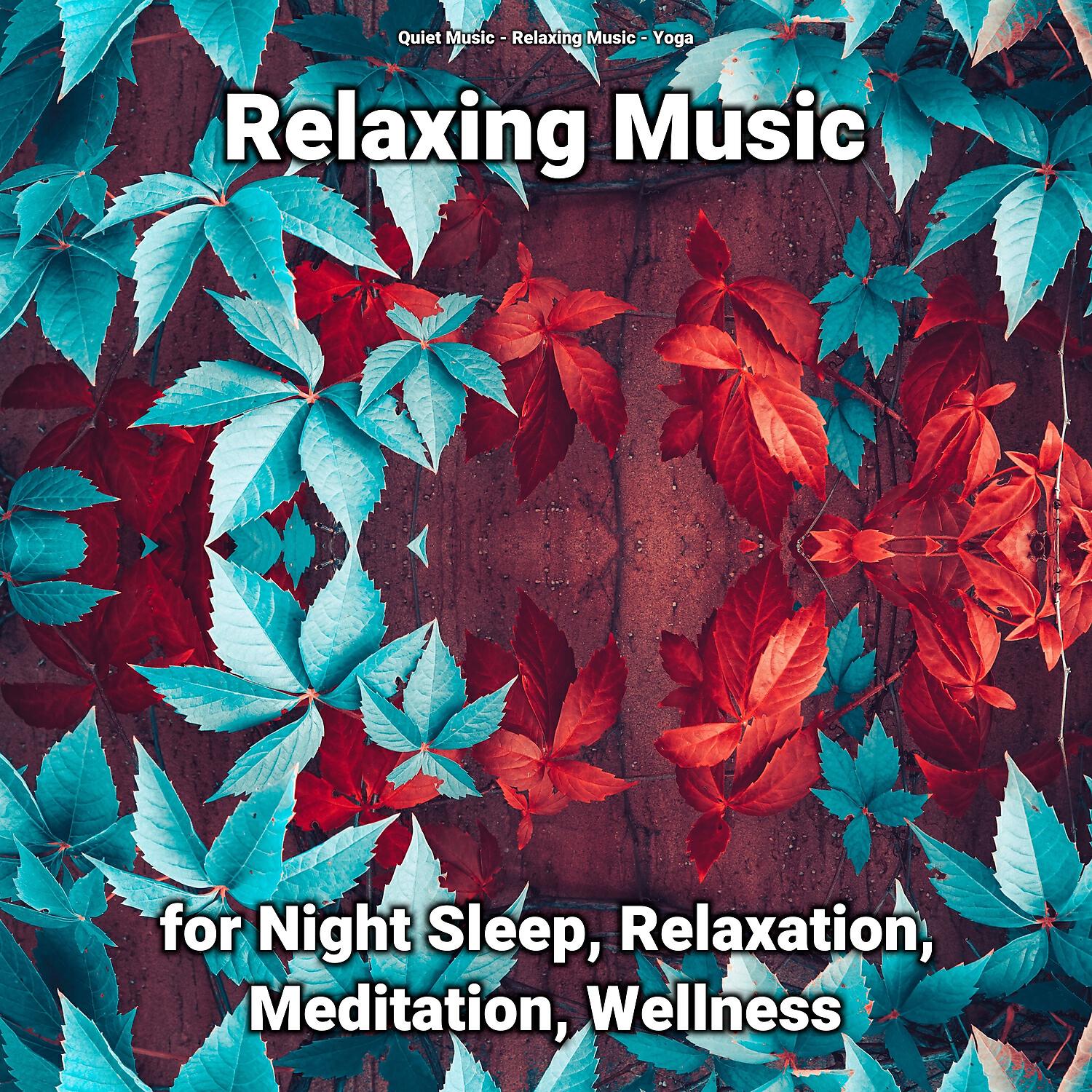 Релиз Relaxing Music for Night Sleep, Relaxation, Meditation, Wellness