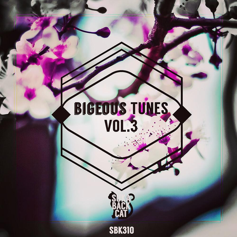 Релиз Bigeous Tunes, Vol. 3