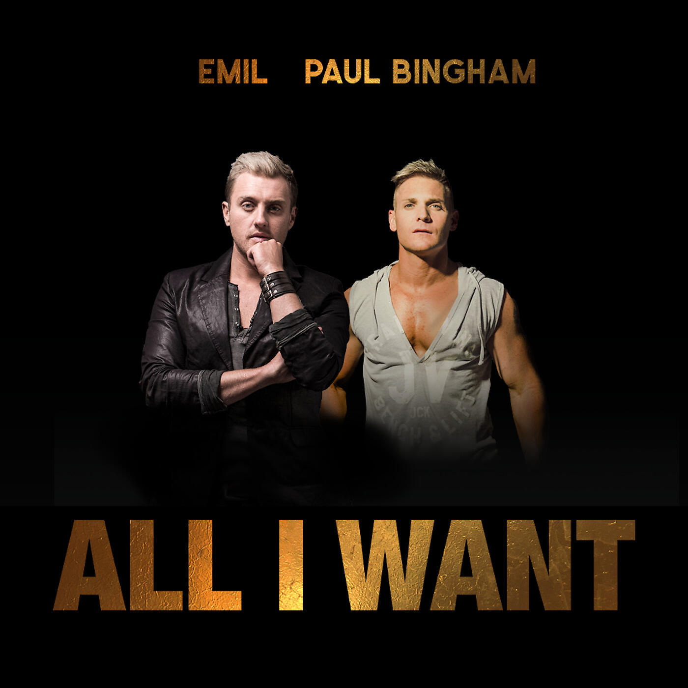 Релиз All I Want