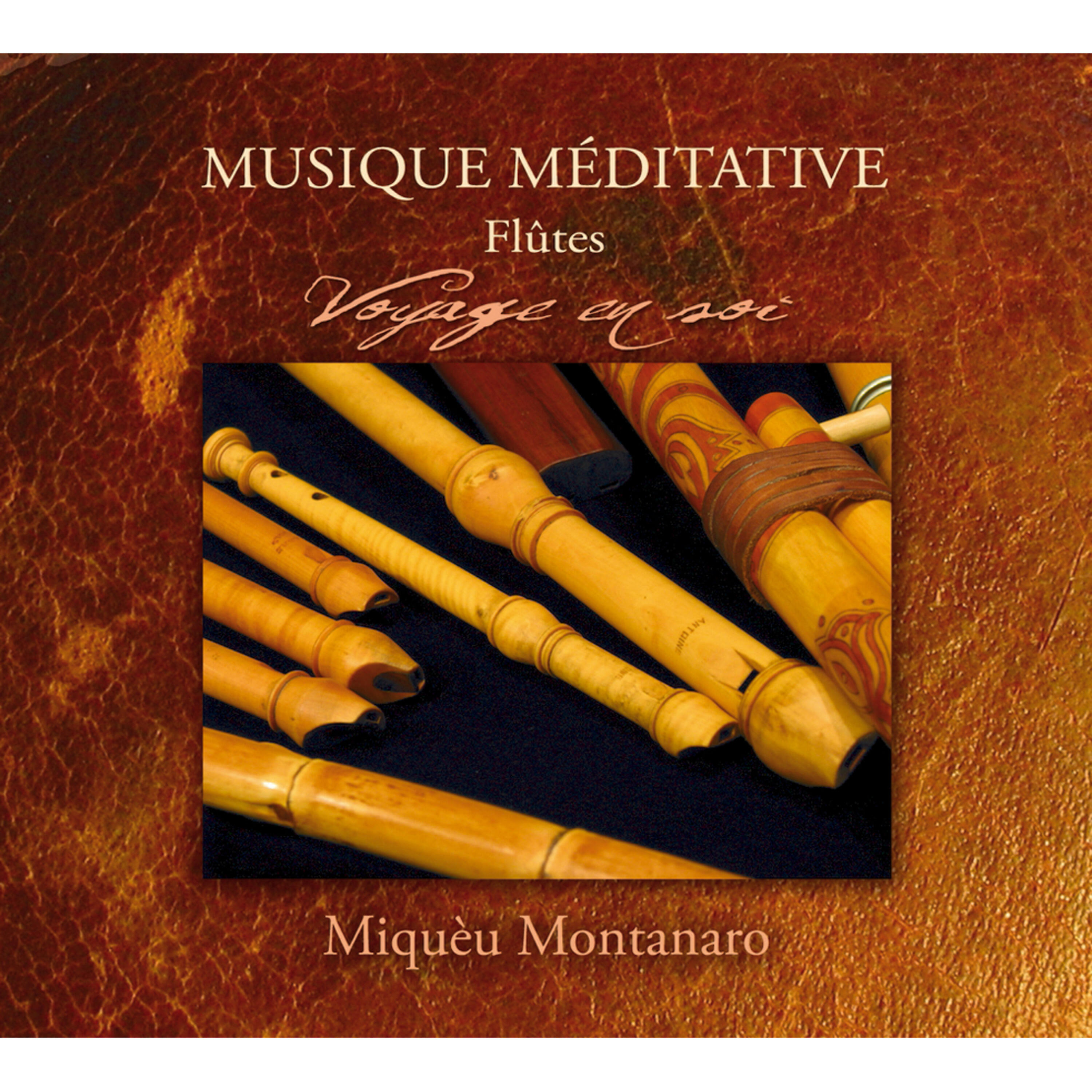 Релиз Musique méditative (Flûtes) - Voyage en soi