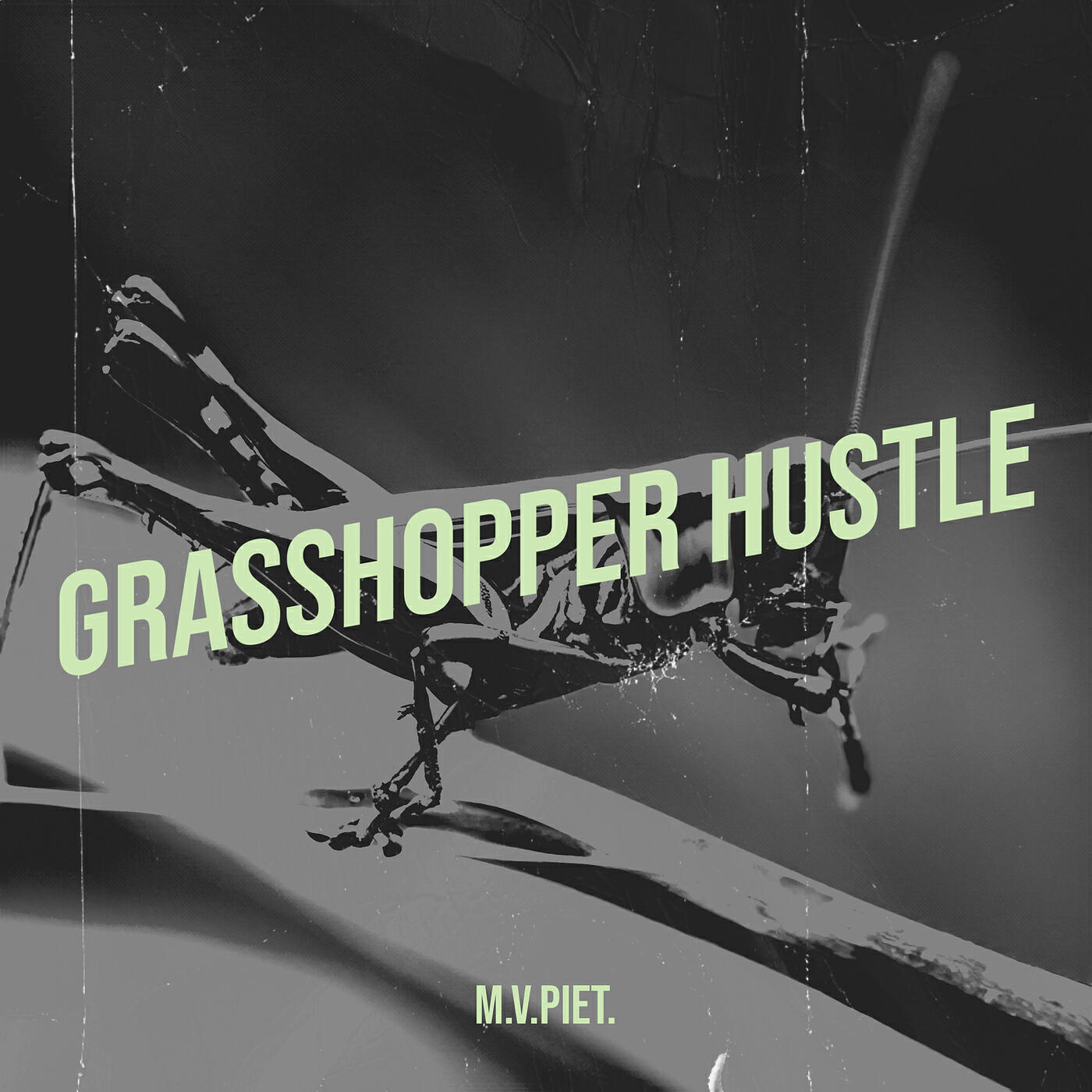 Постер альбома Grasshopper Hustle