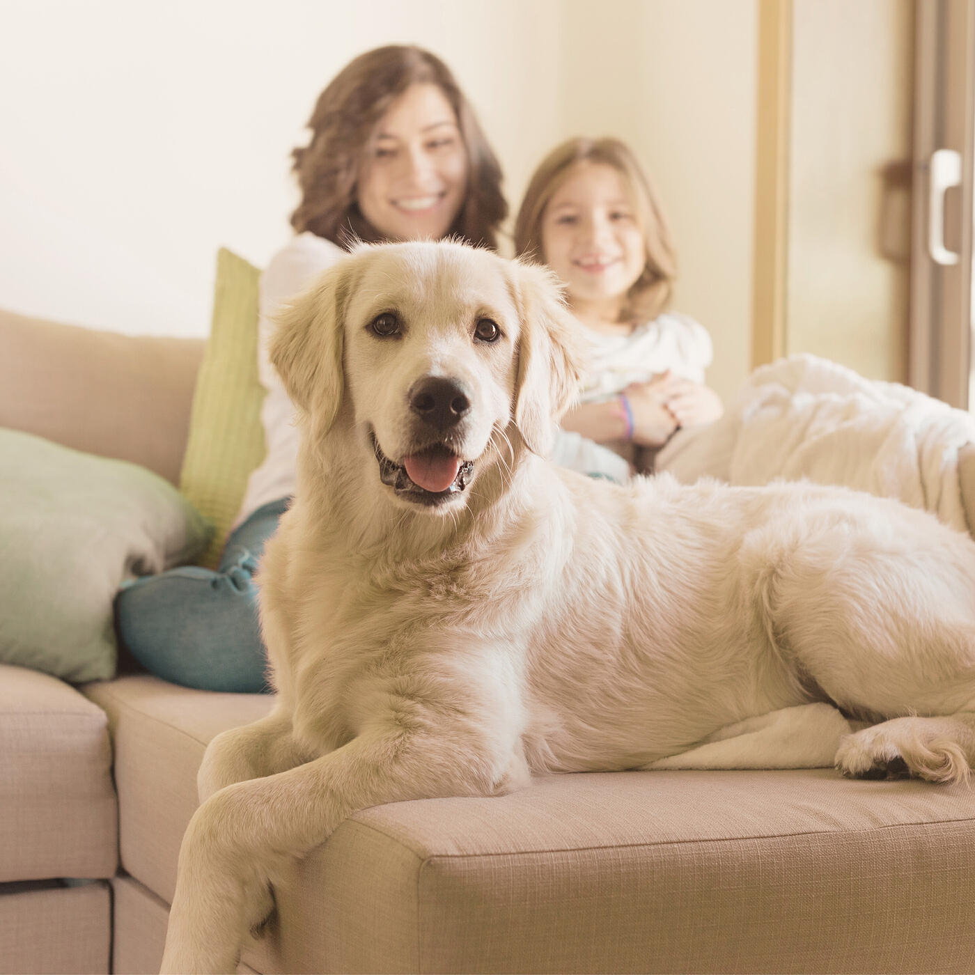 Релиз Family Burgular Alarm