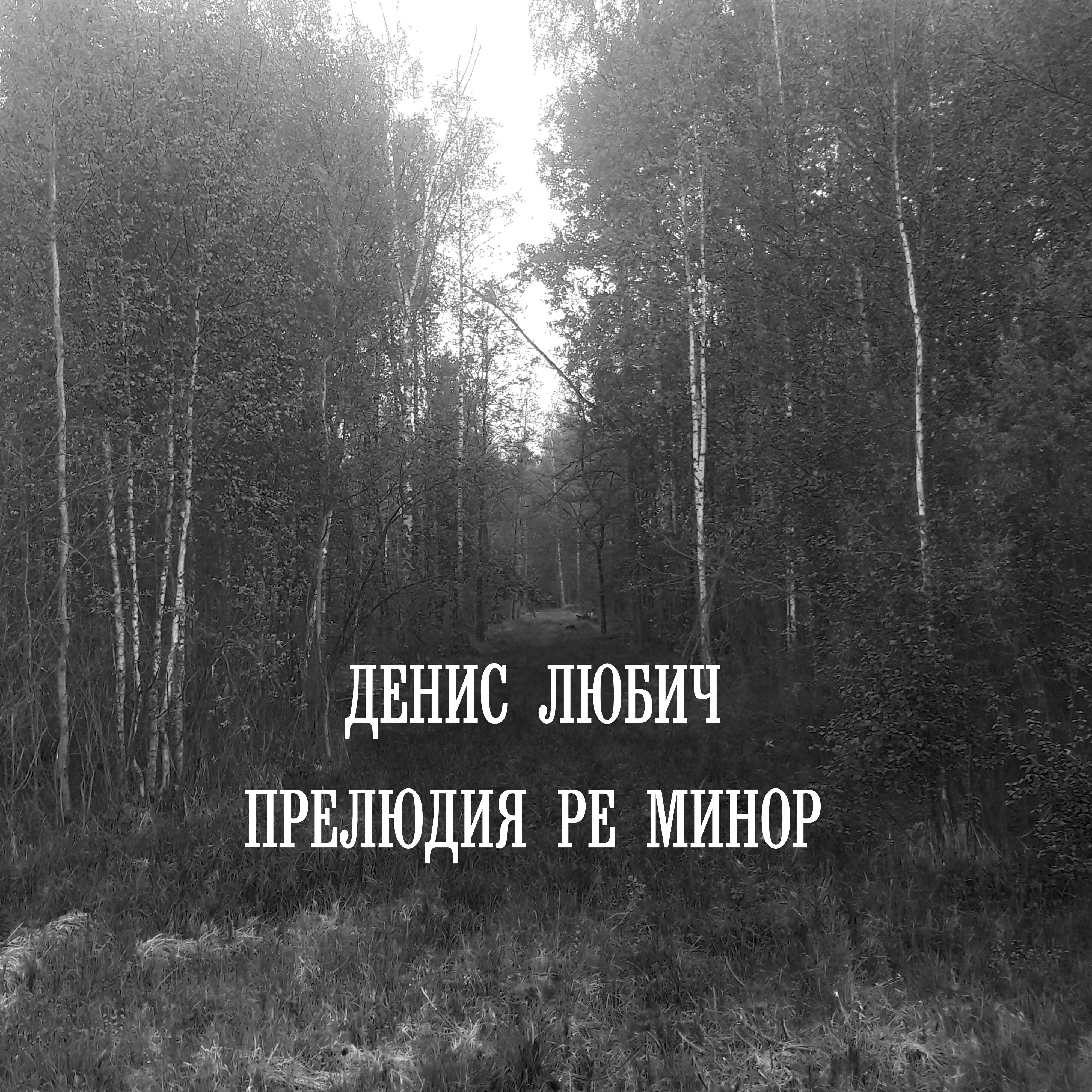Релиз Прелюдия ре минор