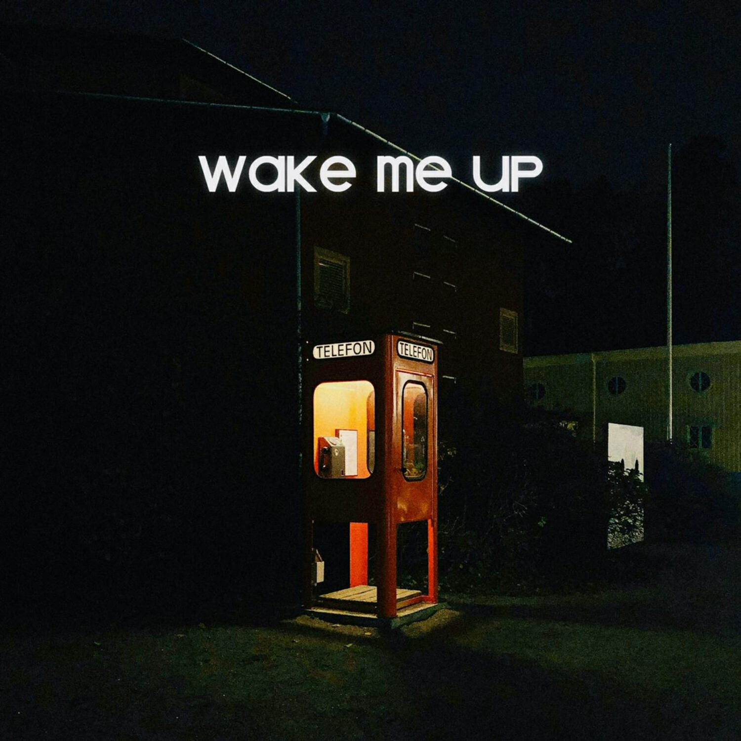 Релиз Wake Me Up