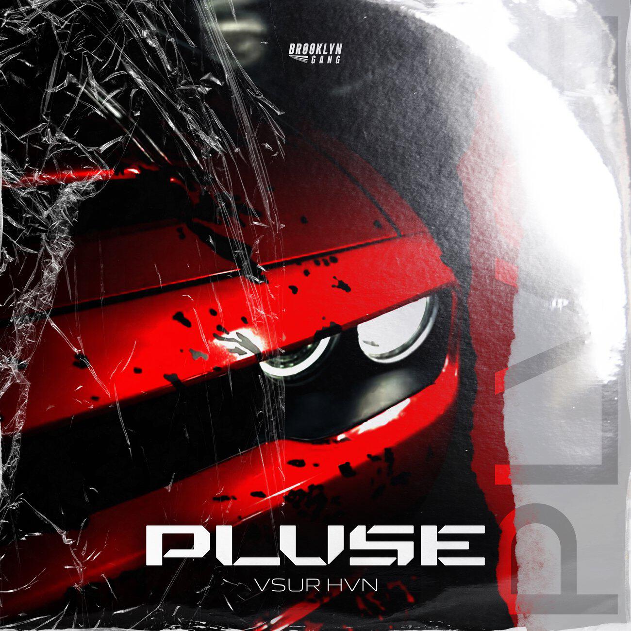 Релиз PLVSE