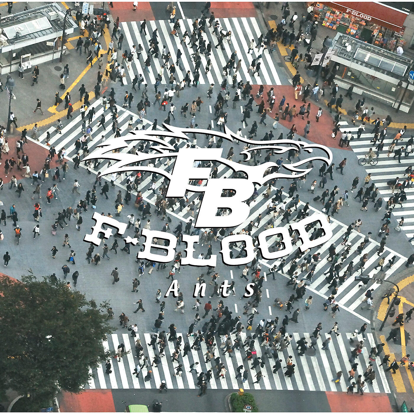 F-BLOOD