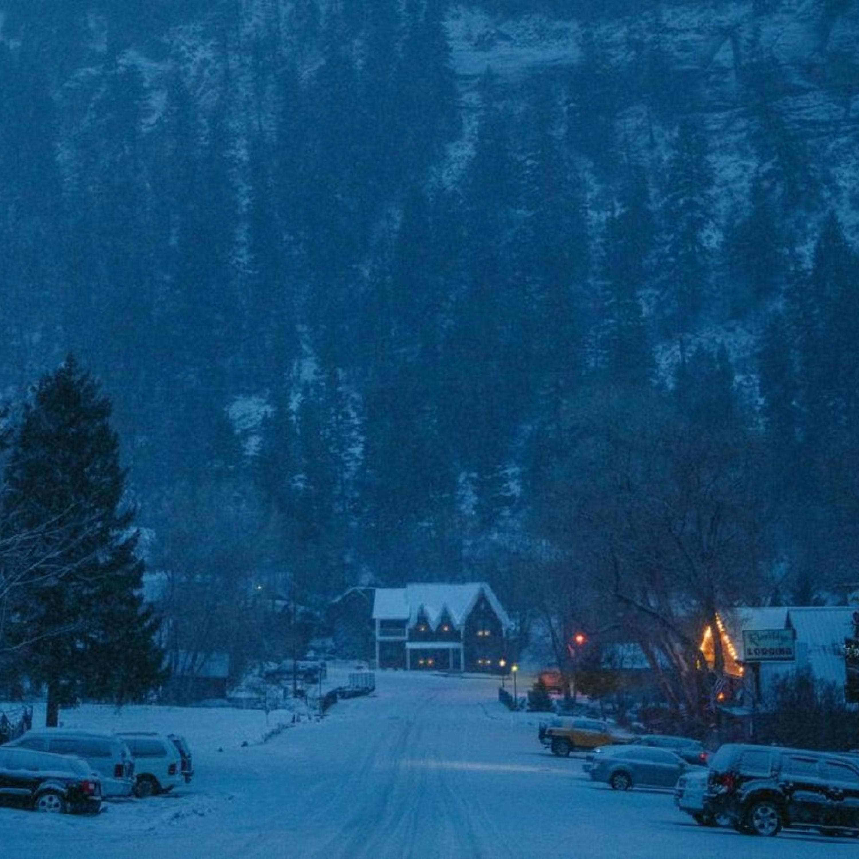 Релиз into the night