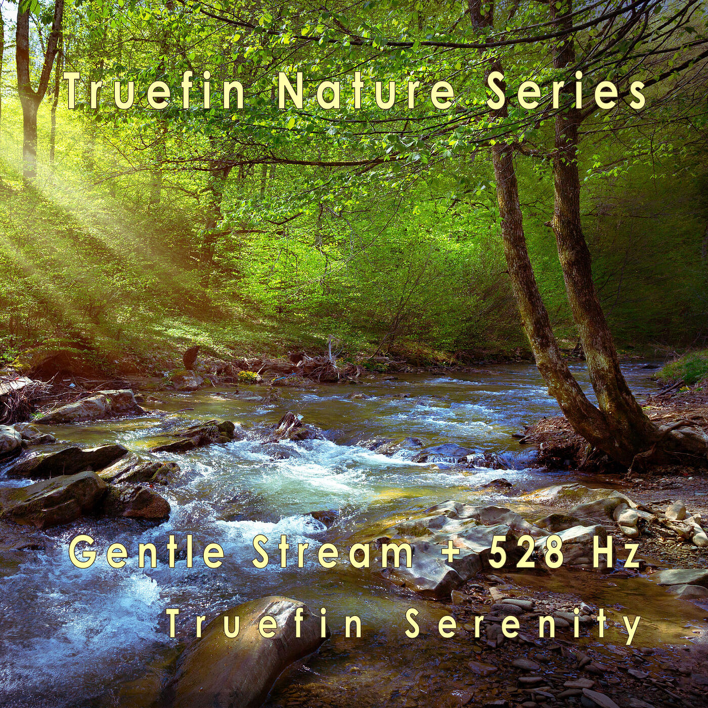Релиз Truefin Nature Series: Gentle Stream + 528hz