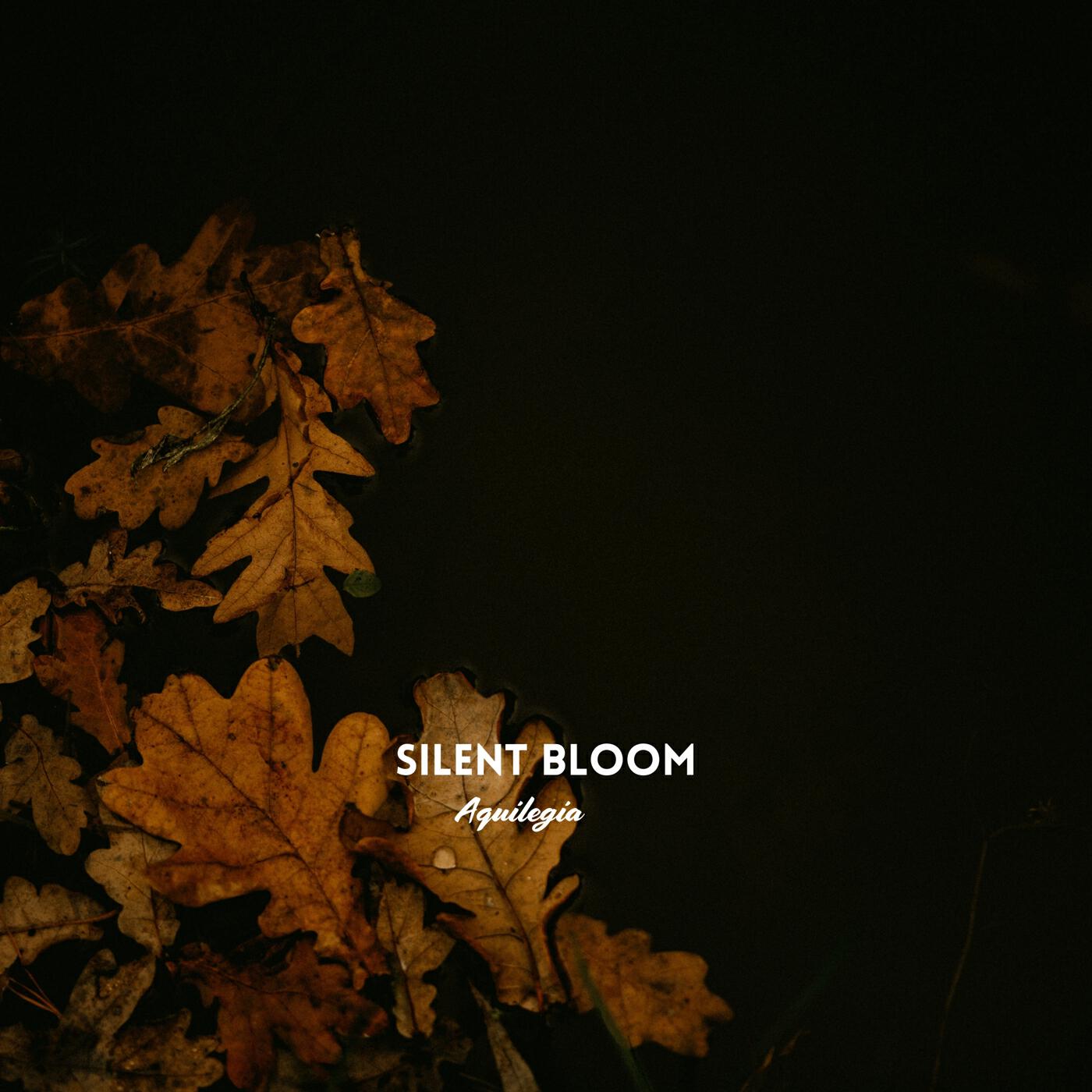 Релиз Silent Bloom