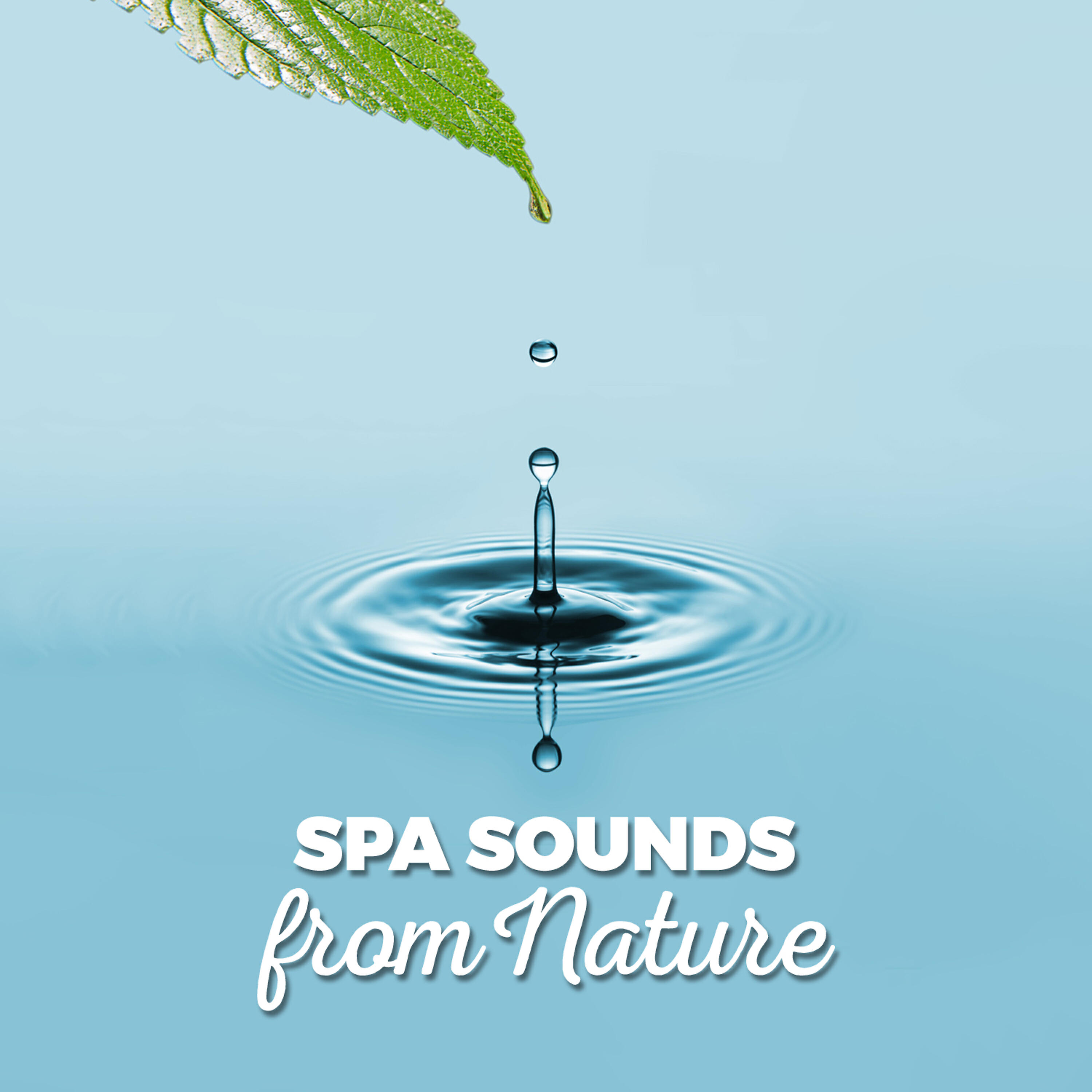 Релиз Spa Sounds from Nature