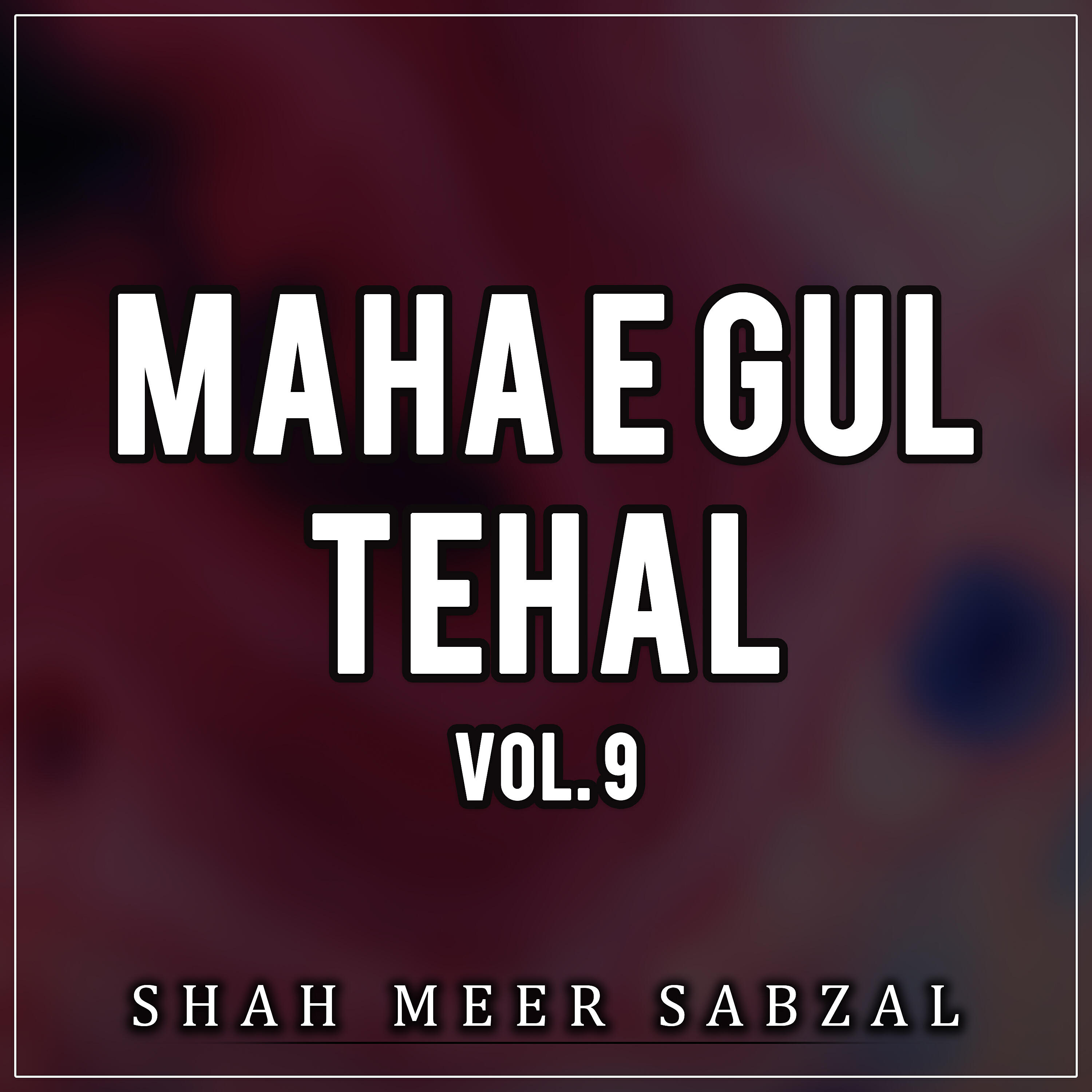 Shah Meer Sabzal