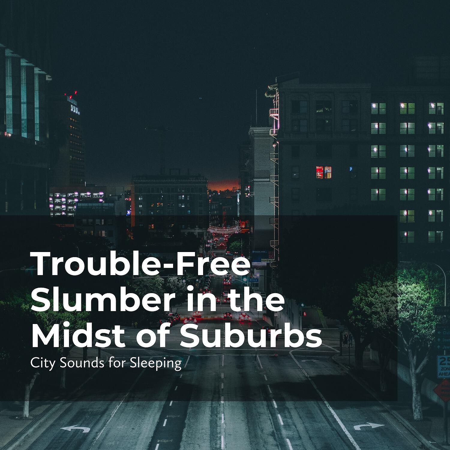 Релиз Trouble-Free Slumber in the Midst of Suburbs