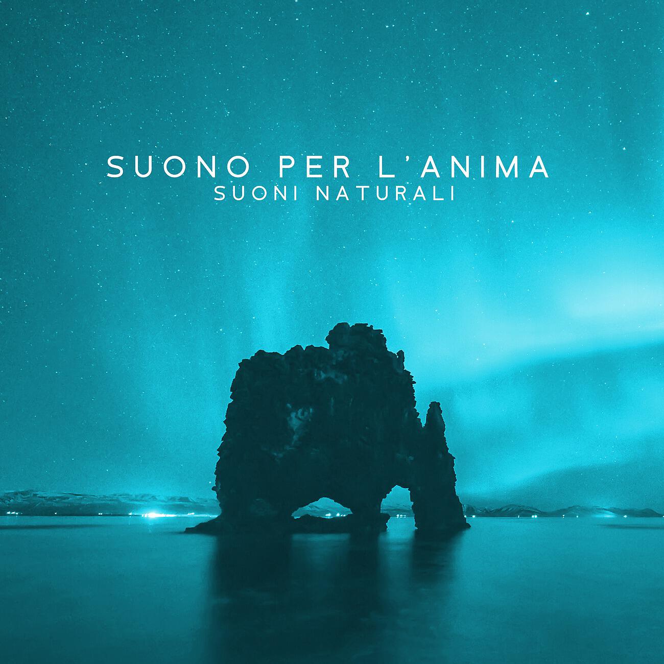 Релиз Suono per l'anima