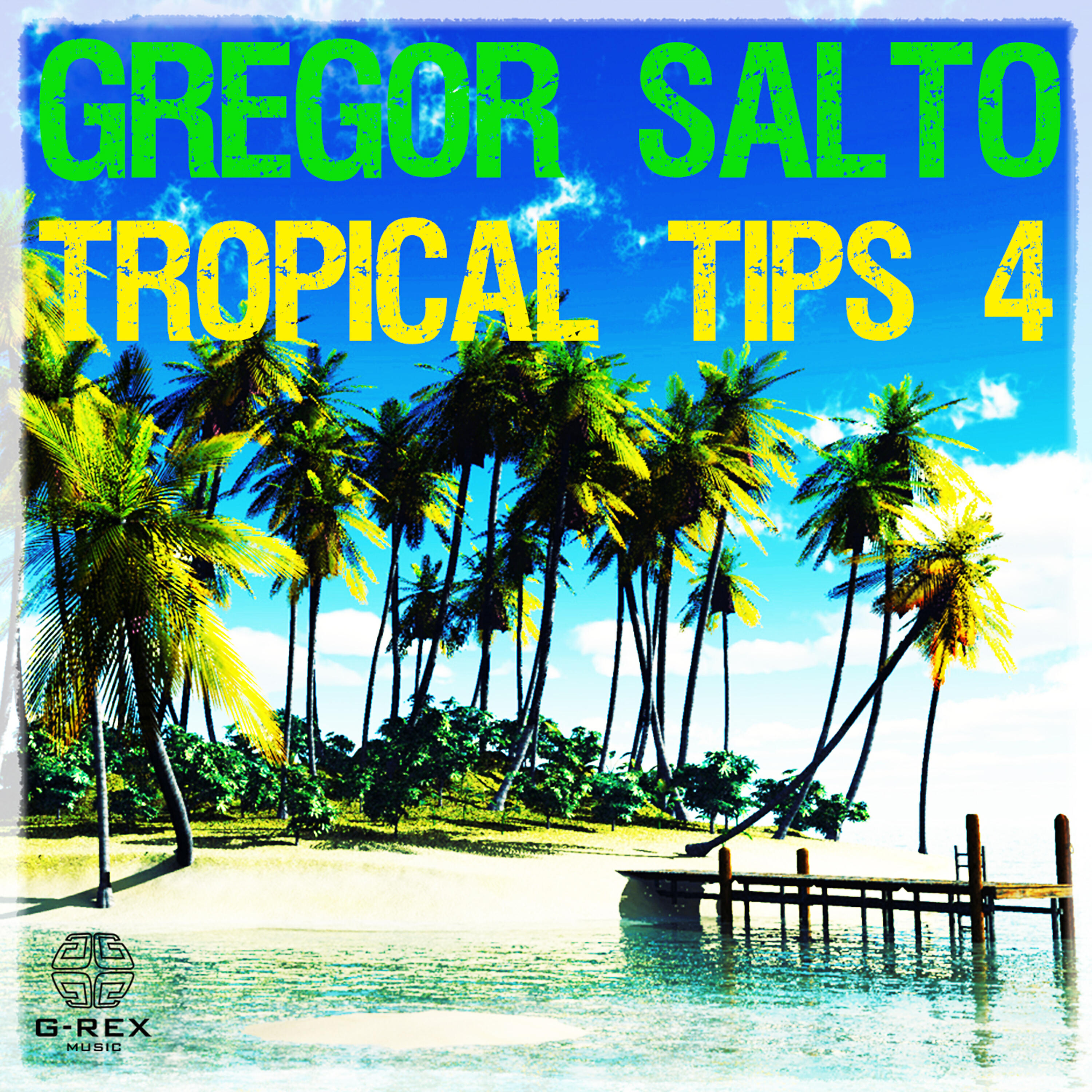 Релиз Gregor Salto - Tropical Tips 4