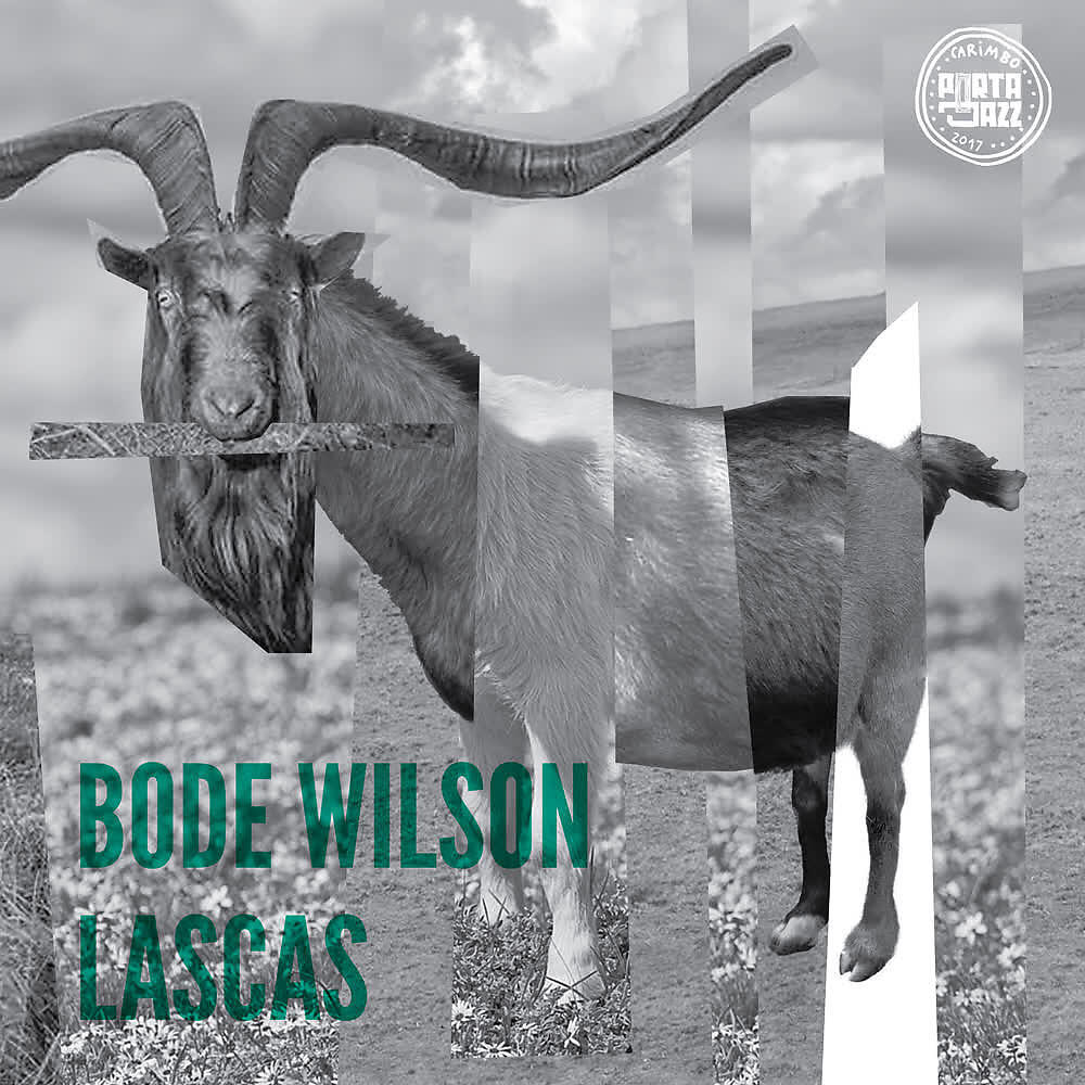 Bode Wilson