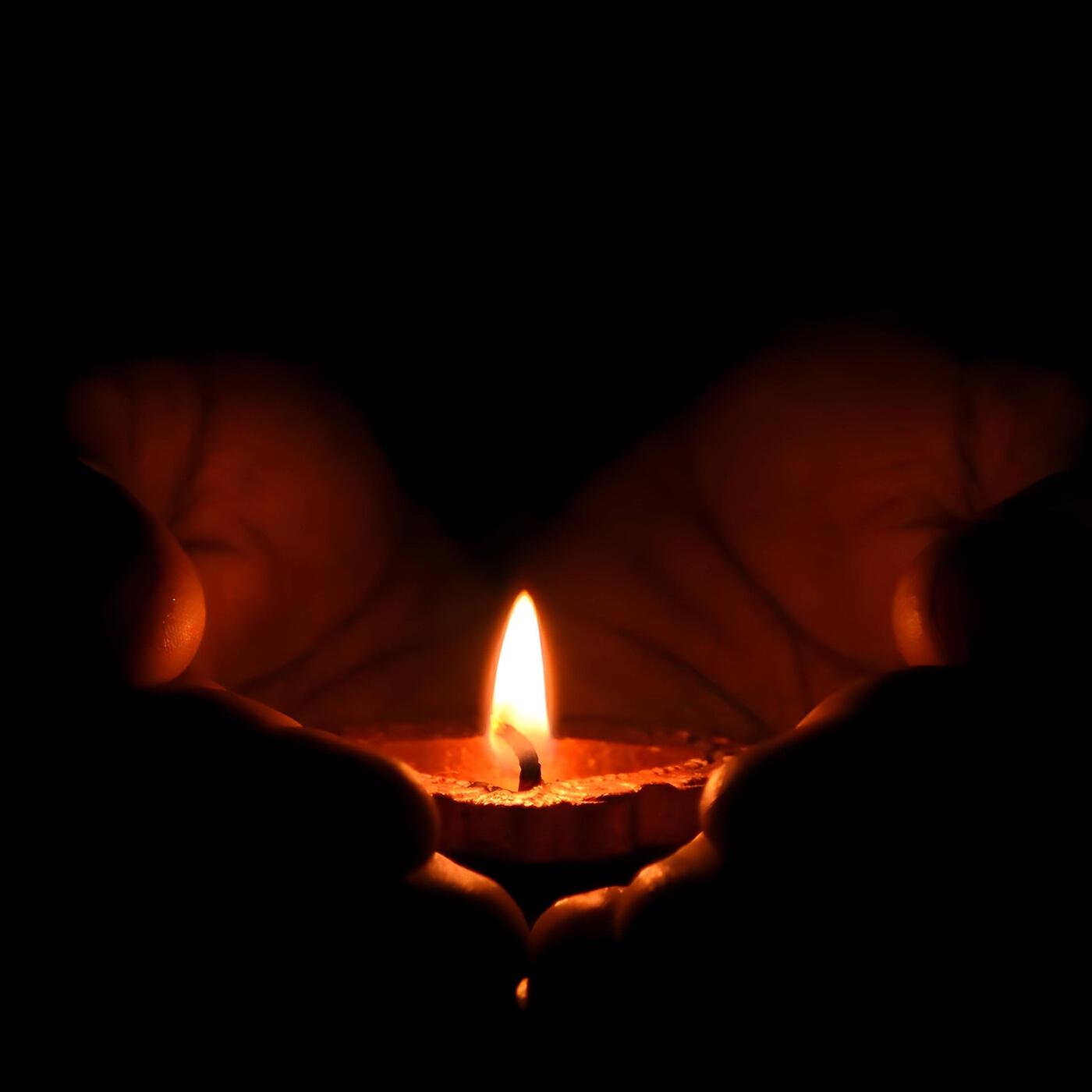 Релиз Oliyaanaay - Your Light Lives On