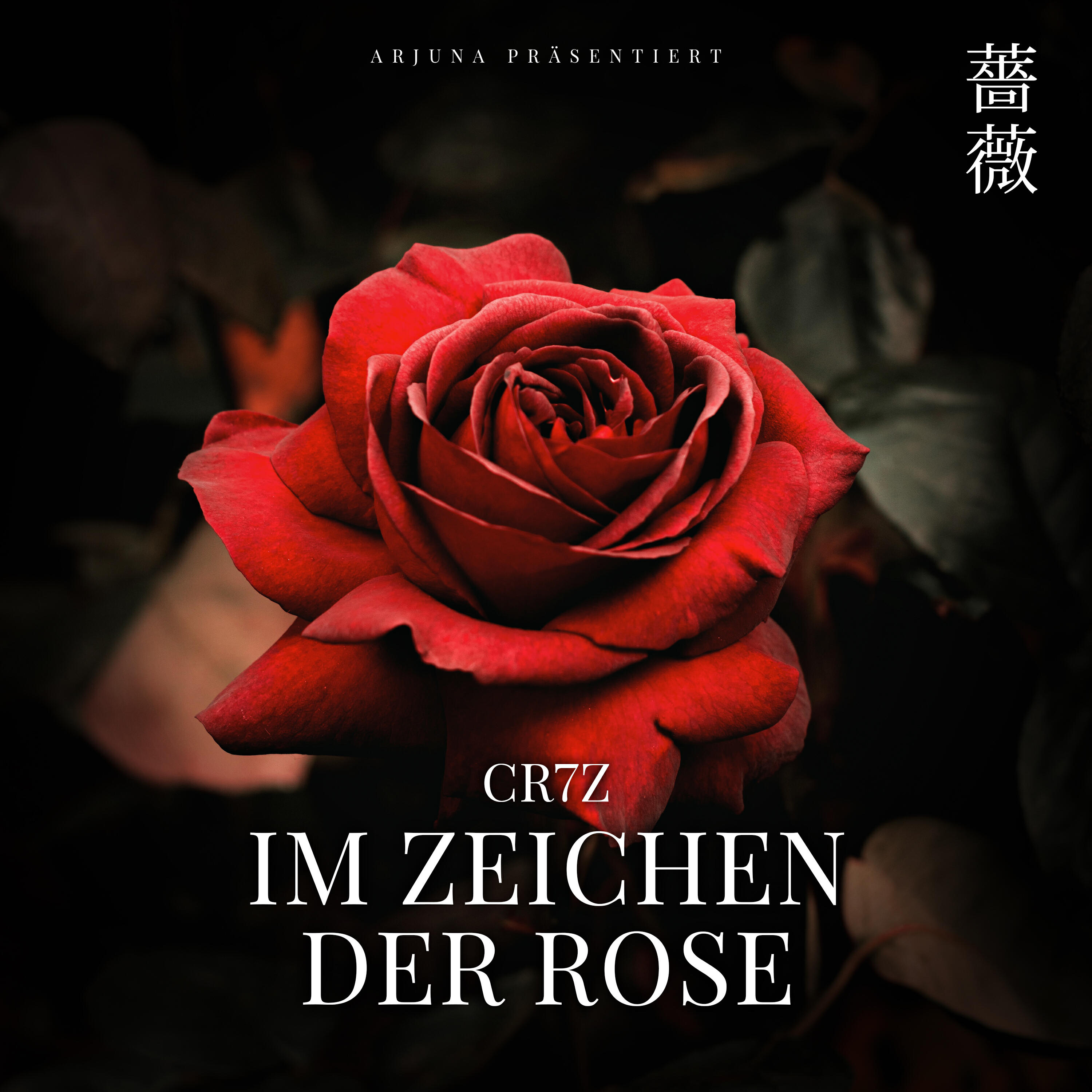 Релиз Im Zeichen der Rose