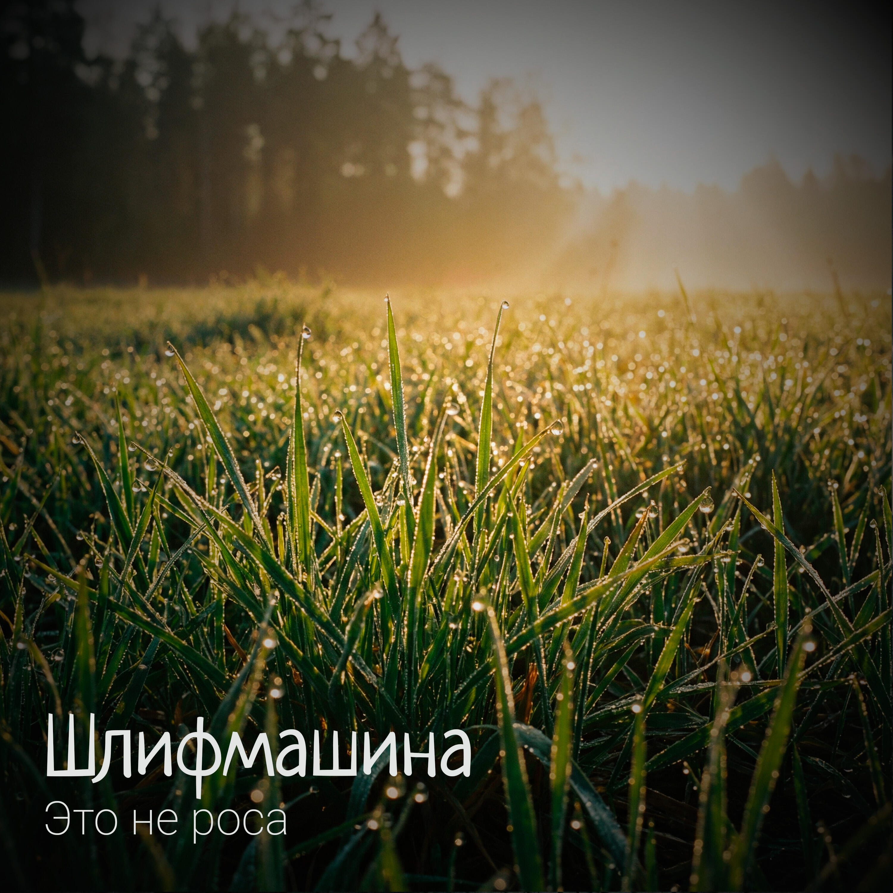 Релиз Это не роса