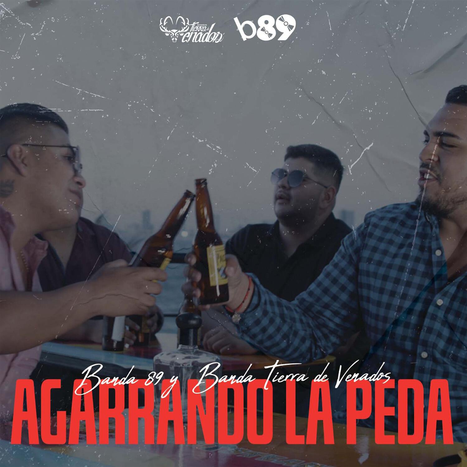 Banda Tierra De Venados