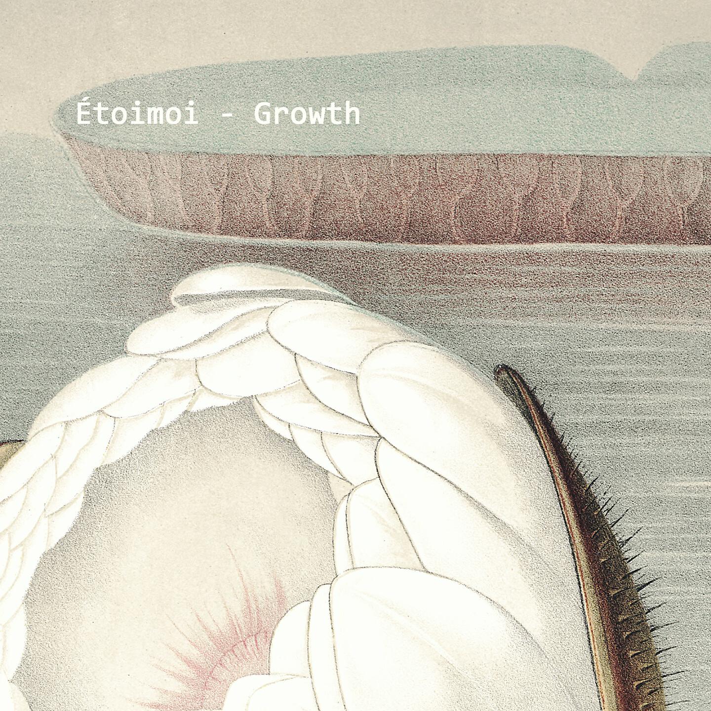Релиз Growth