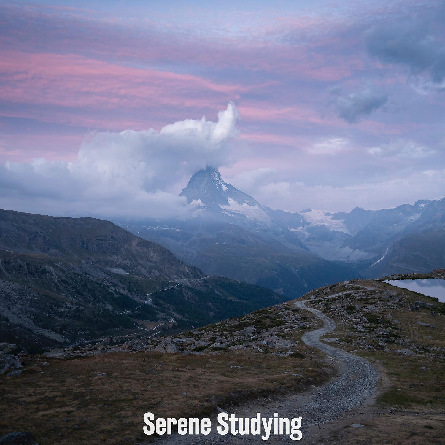 Постер альбома Serene Studying