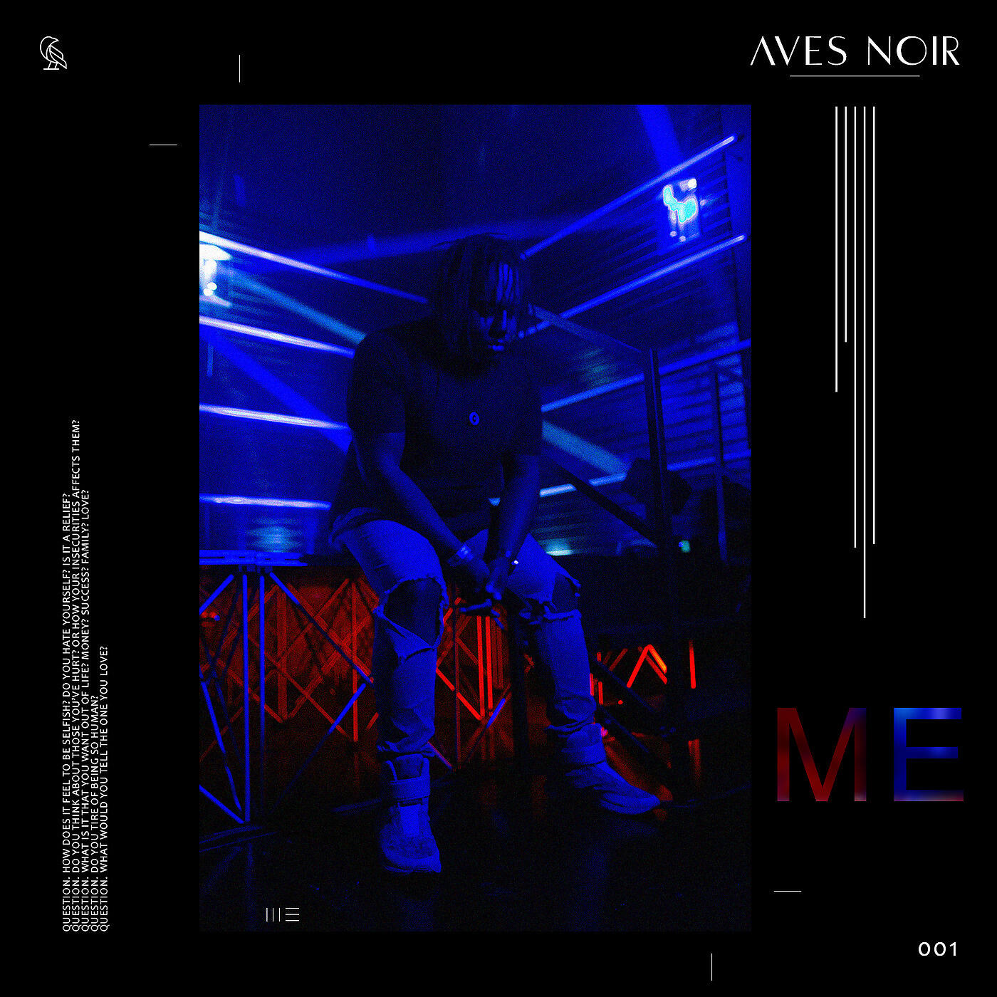Aves Noir