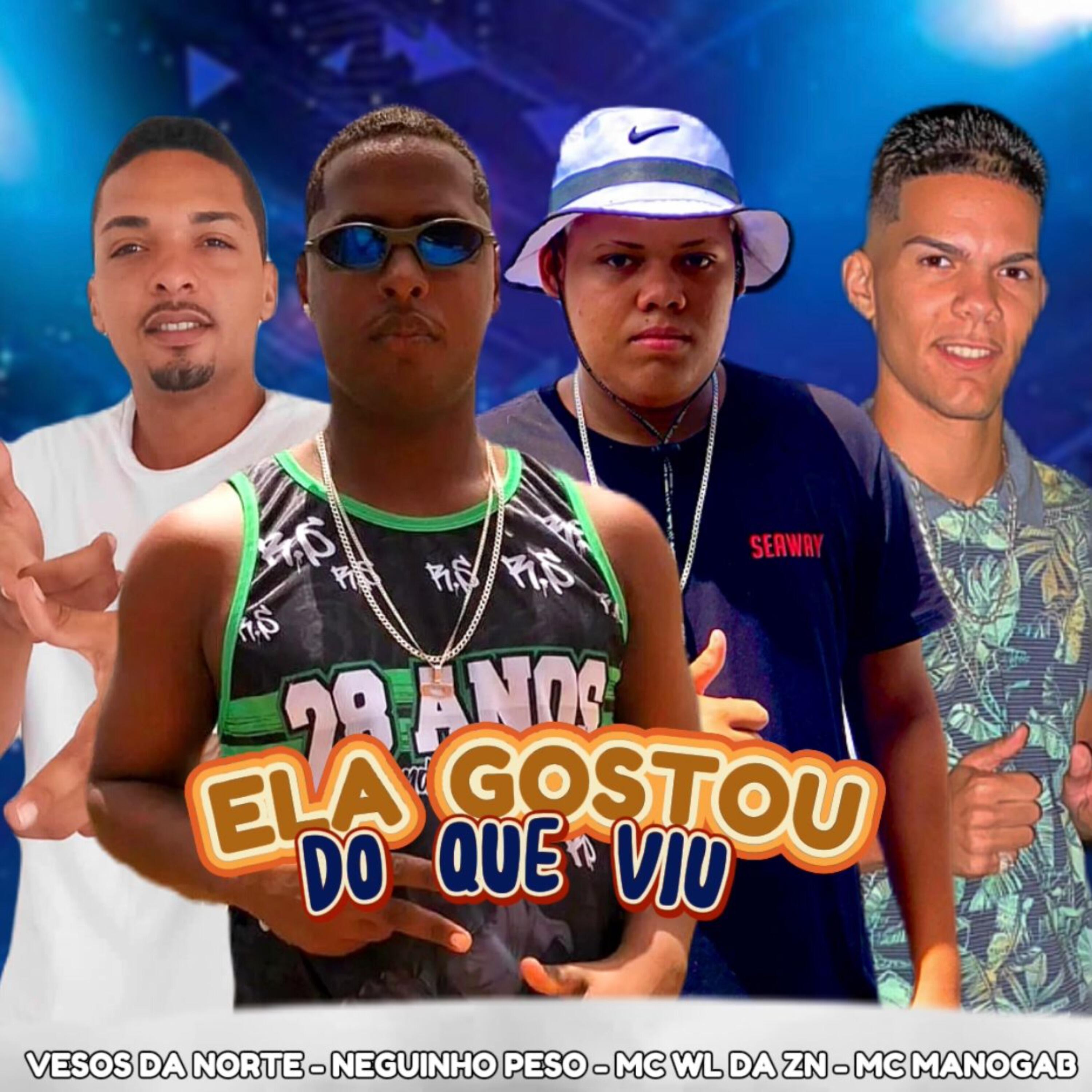 Релиз Ela Gostou do Que Viu