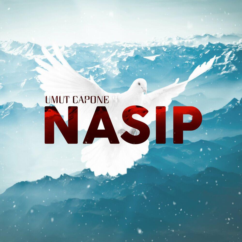 Релиз Nasip