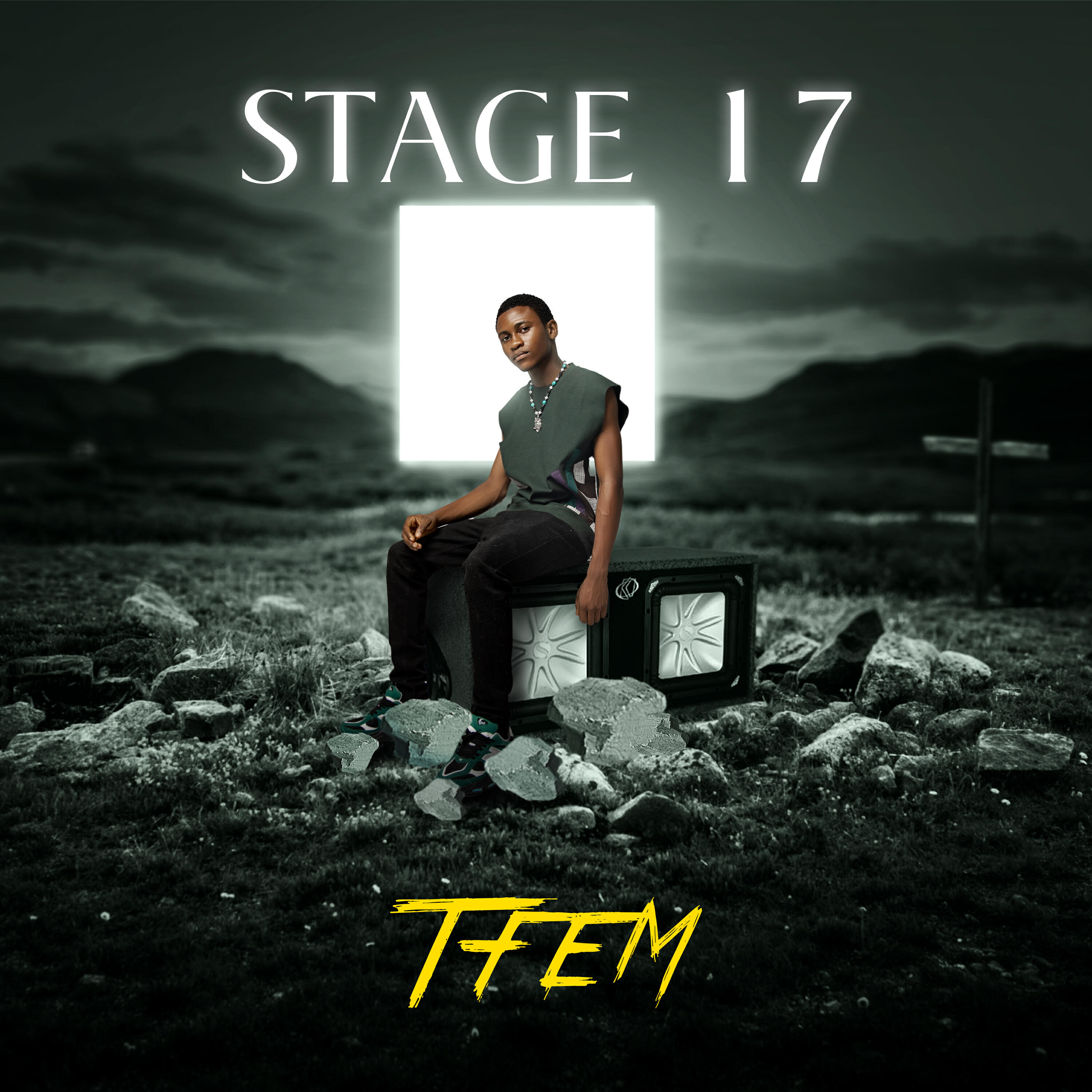 Tfem