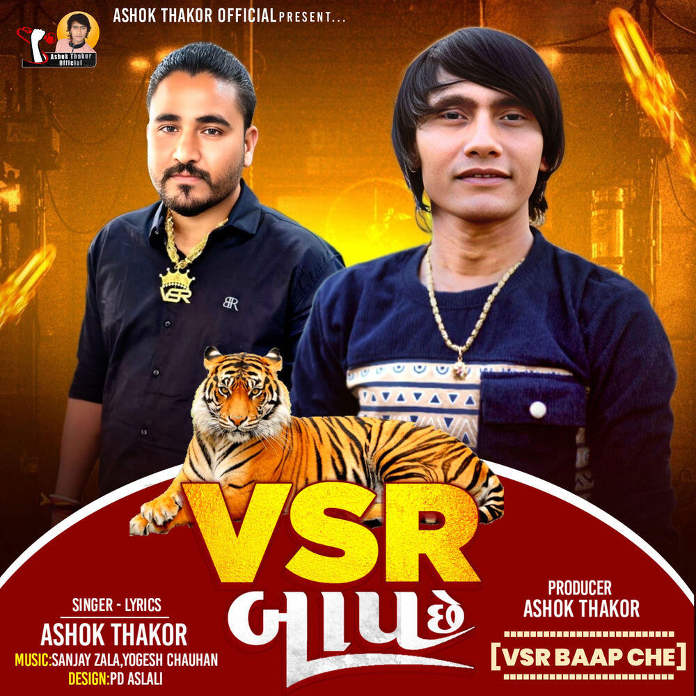 Трек VSR Baap Che