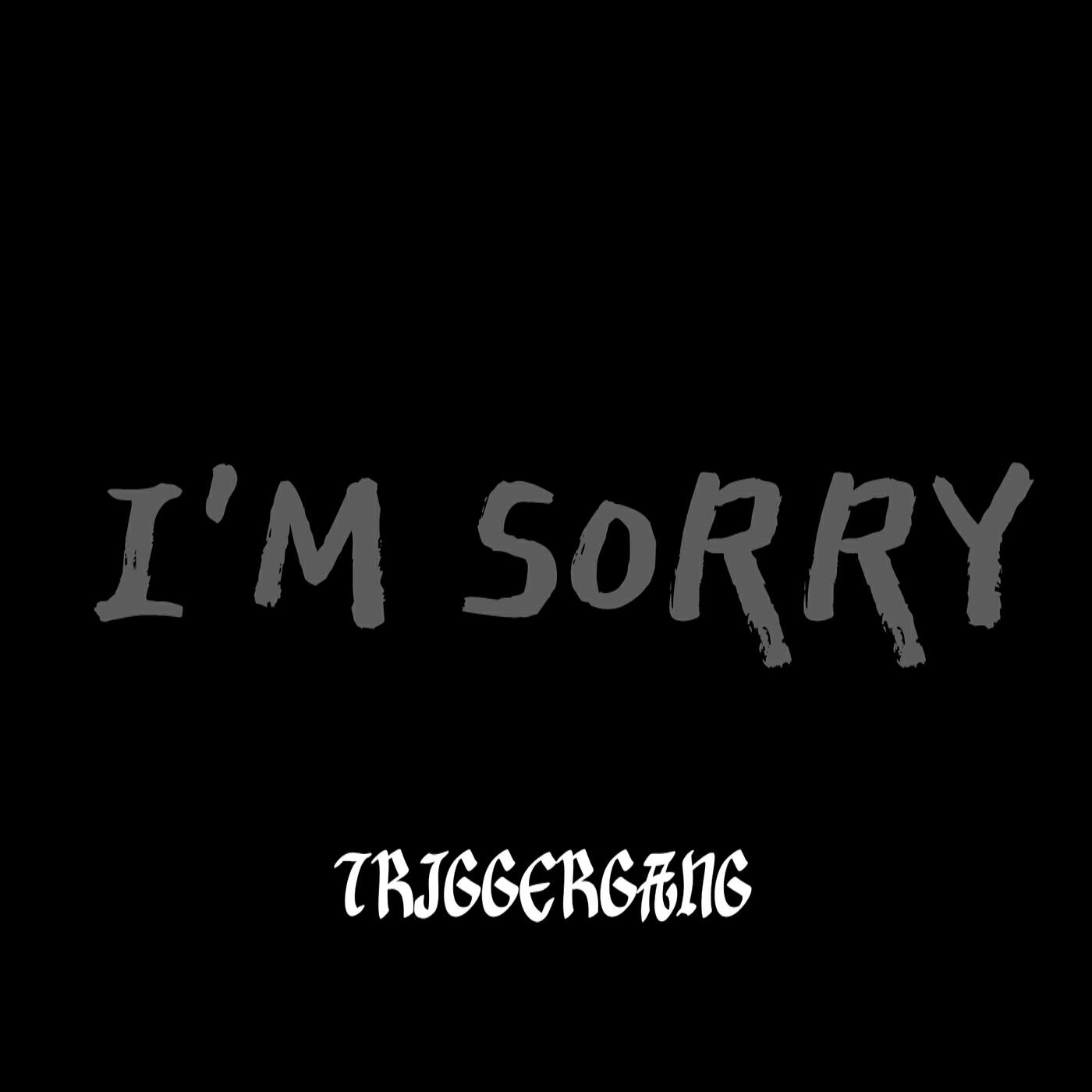 Релиз I'm Sorry