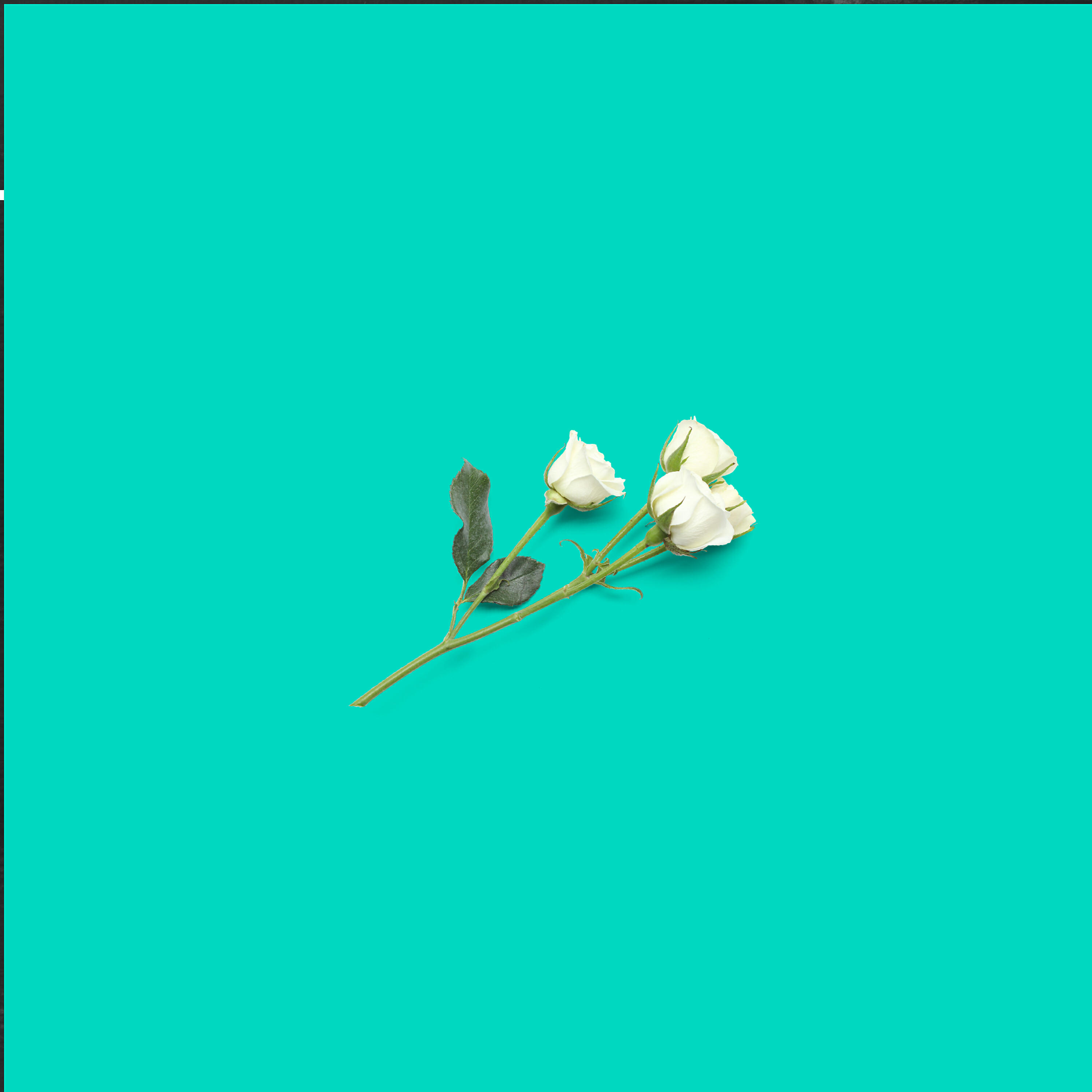 Релиз Rituals (Deluxe)