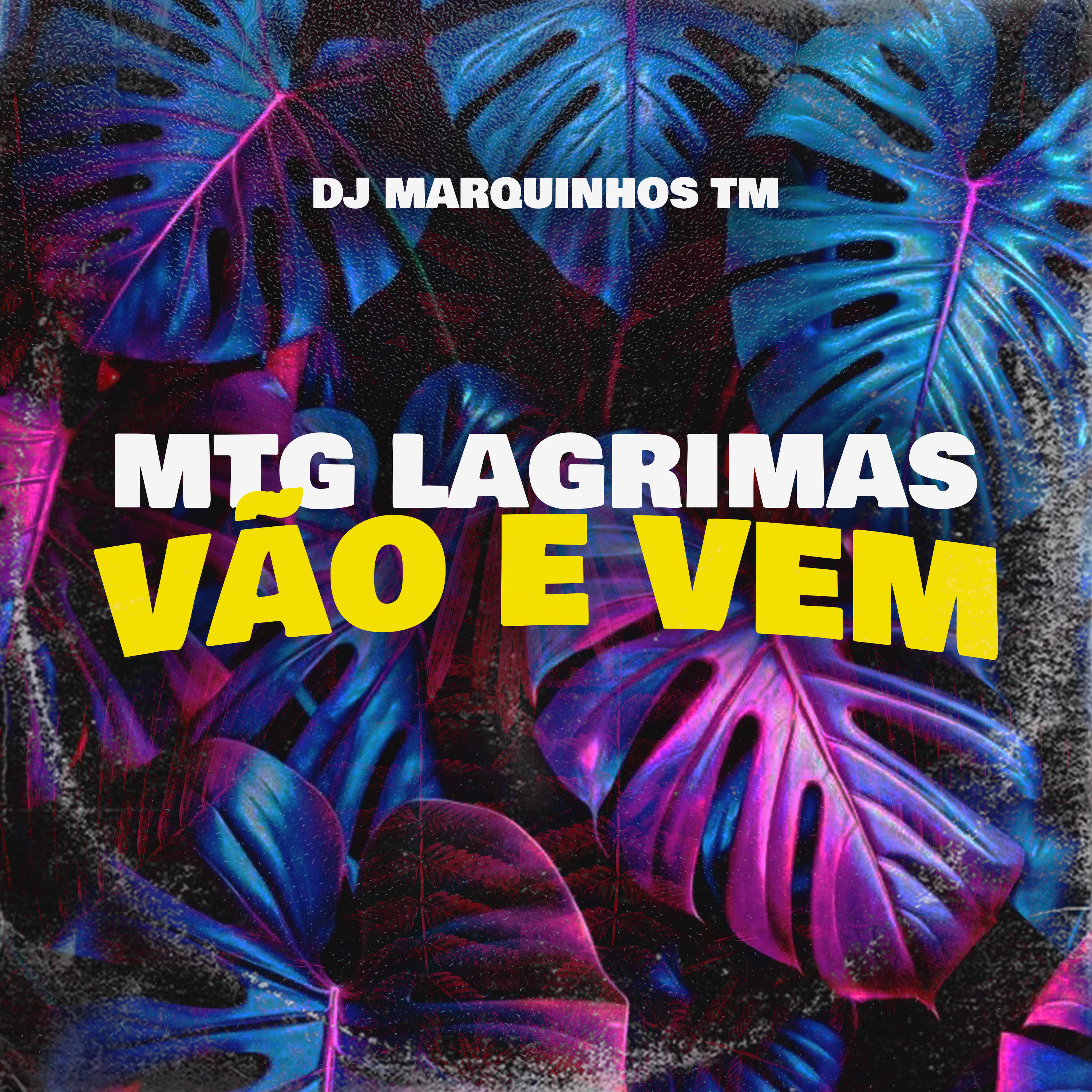 Постер альбома Mtg Lagrimas Vão e Vem