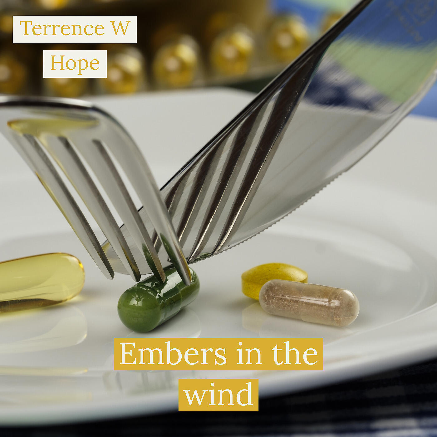 Релиз Embers in the Wind