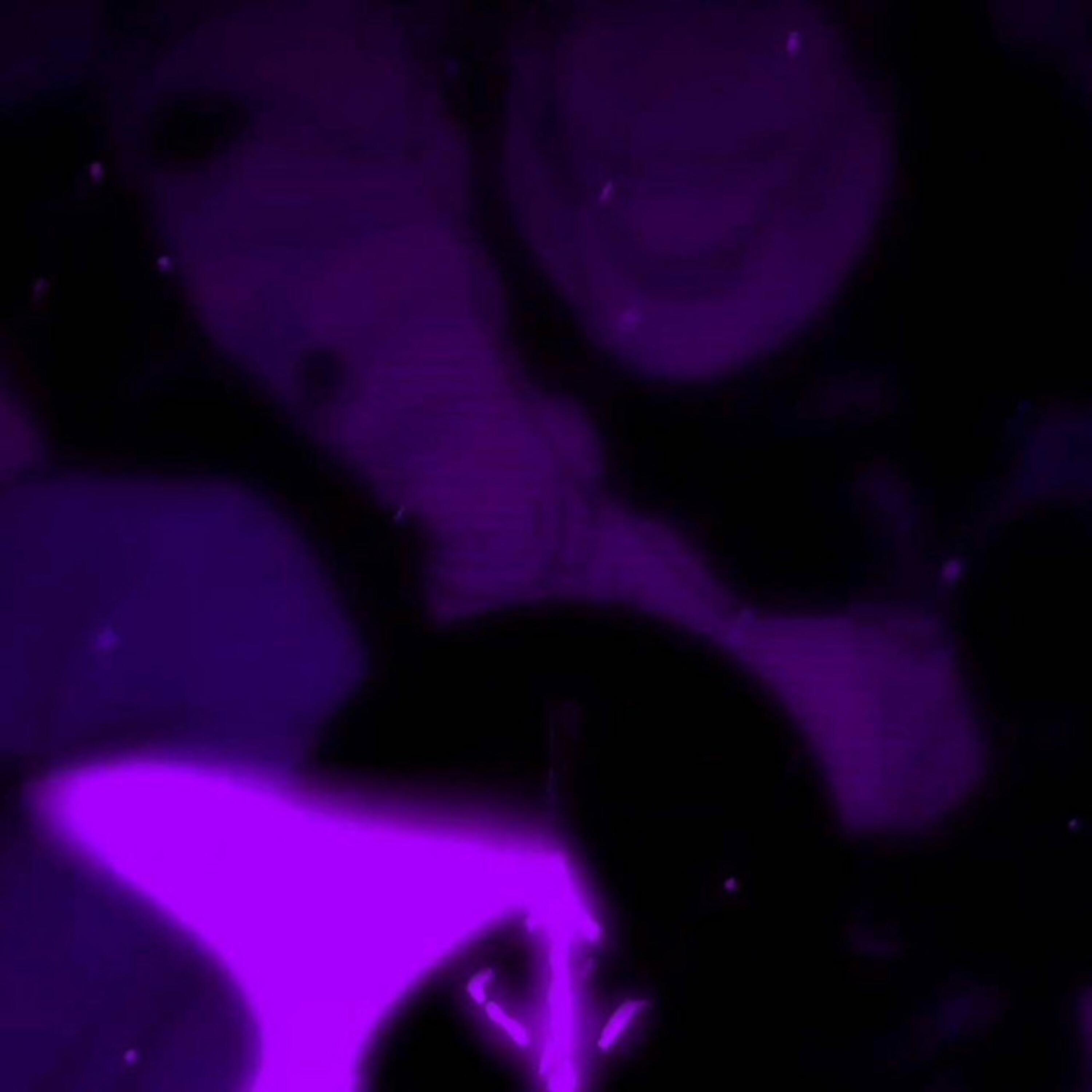 Релиз TORE UP (slowed + reverb) - Instrumental