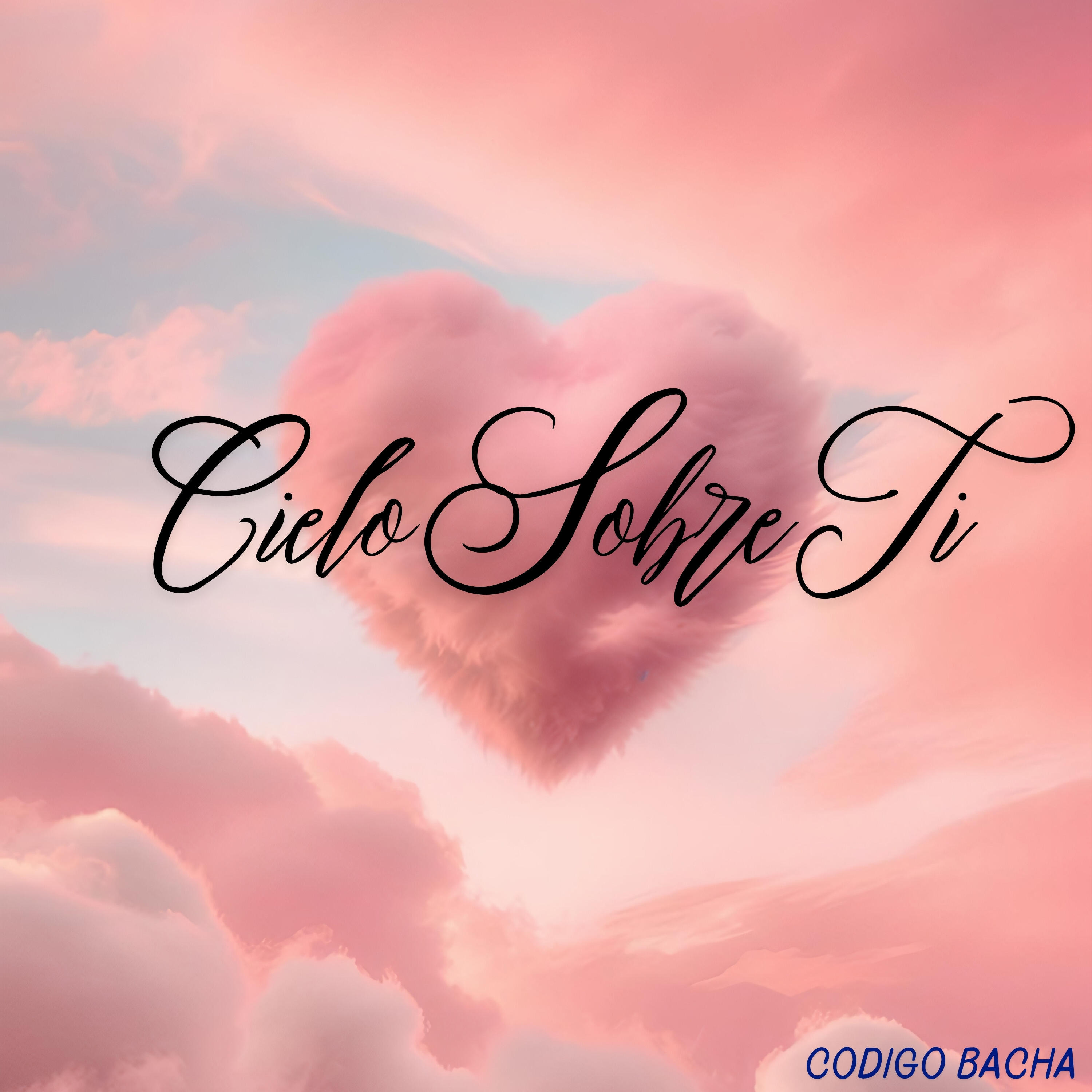 CODIGO BACHA