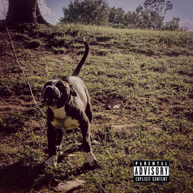 Релиз Dawgs Only (Community Rules)