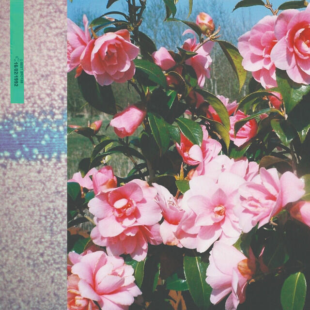 Релиз Passing Place
