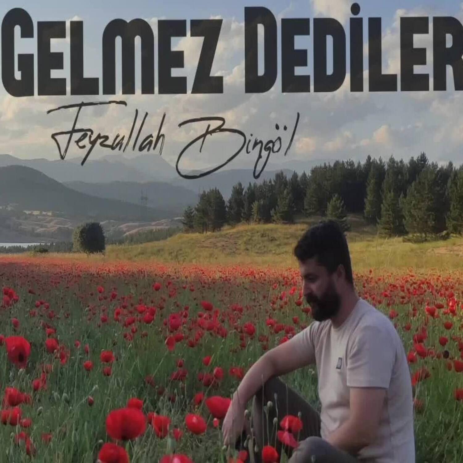 Релиз Gelmez Dediler
