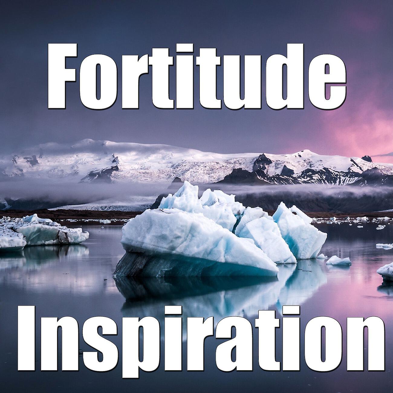 Релиз Fortitude Inspiration, Vol.2