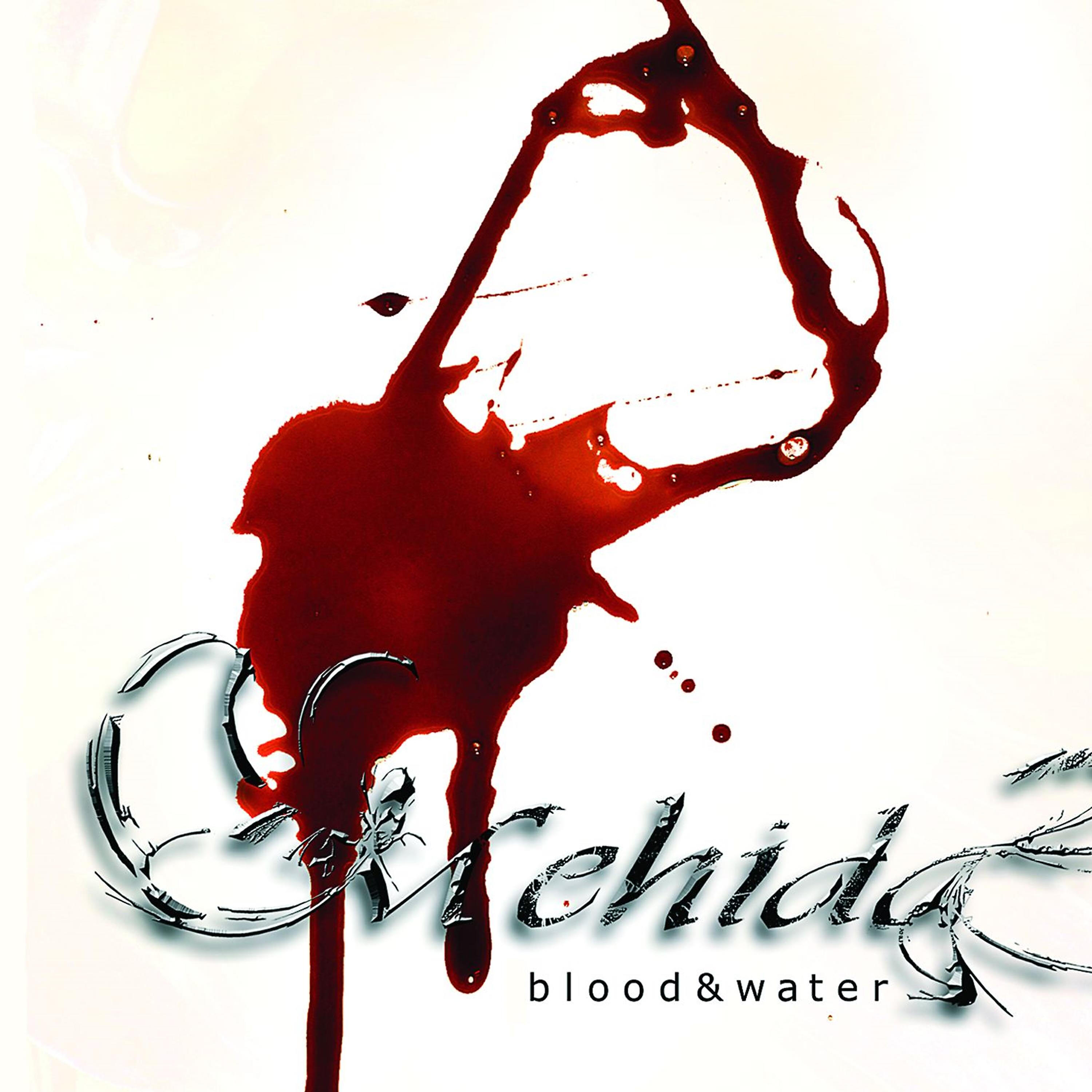 Релиз Blood & Water
