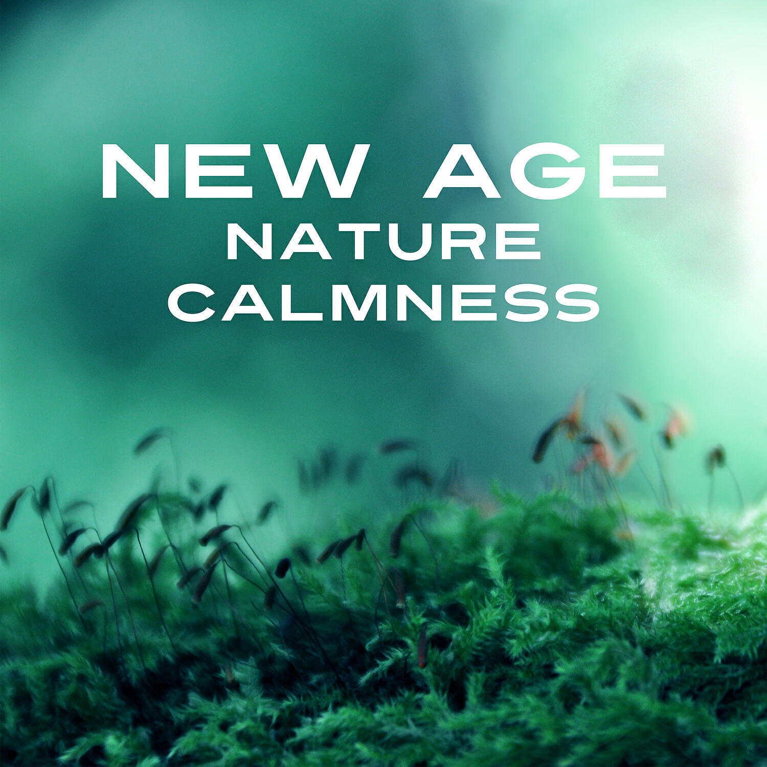 Релиз New Age Nature Calmness – Best Nature Sounds, Soft Music to Relax, Inner Silence, Deep Focus